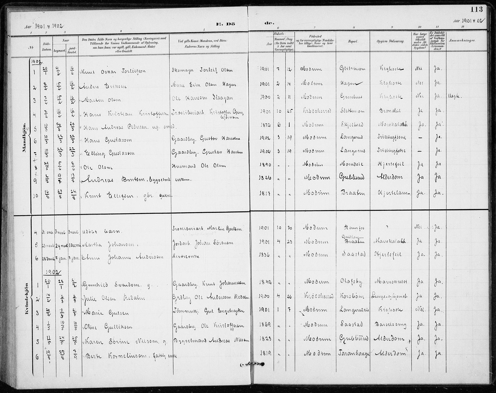 Modum kirkebøker, SAKO/A-234/F/Fa/L0020: Parish register (official) no. 20, 1900-1917, p. 113