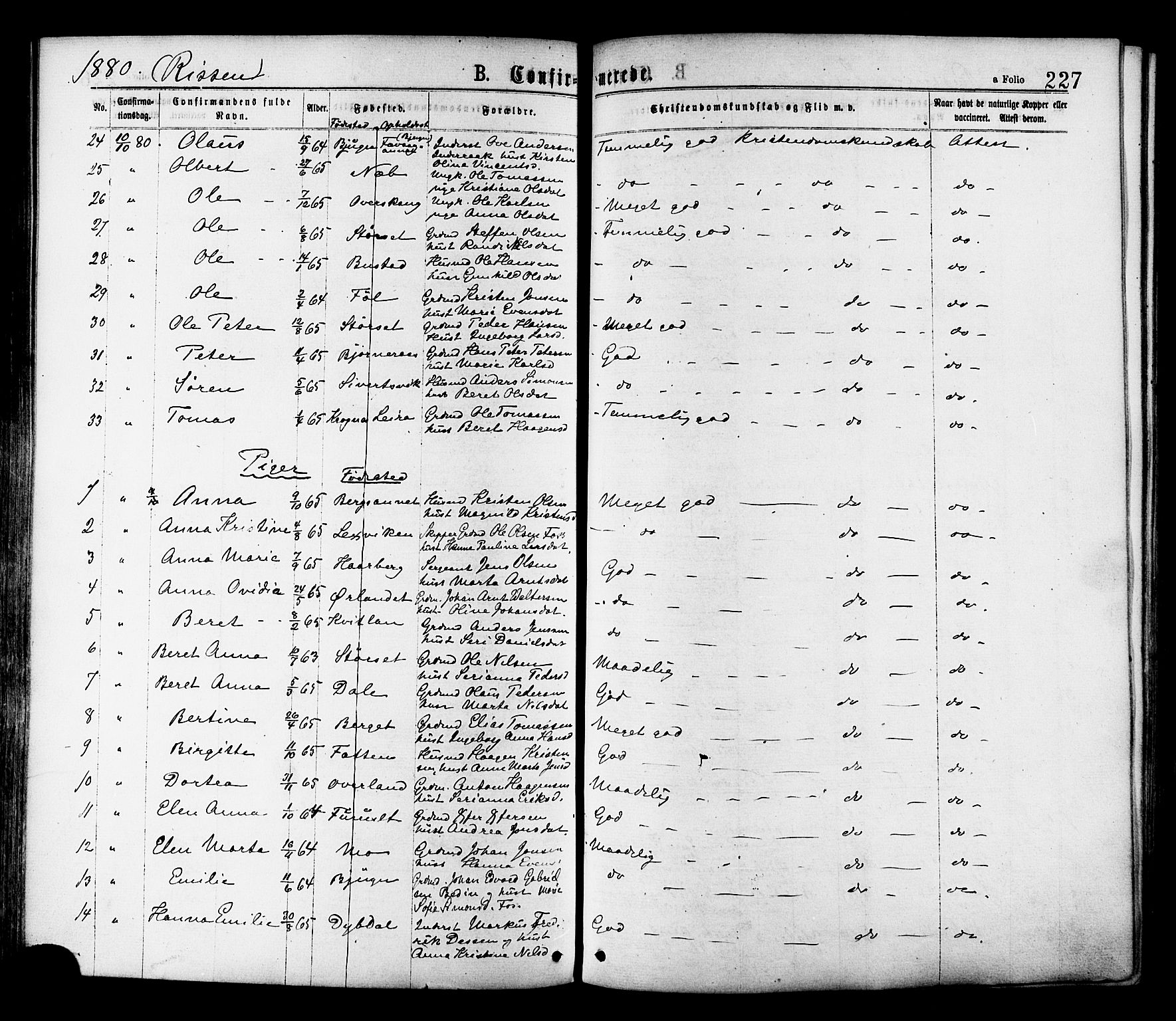 Ministerialprotokoller, klokkerbøker og fødselsregistre - Sør-Trøndelag, SAT/A-1456/646/L0613: Parish register (official) no. 646A11, 1870-1884, p. 227