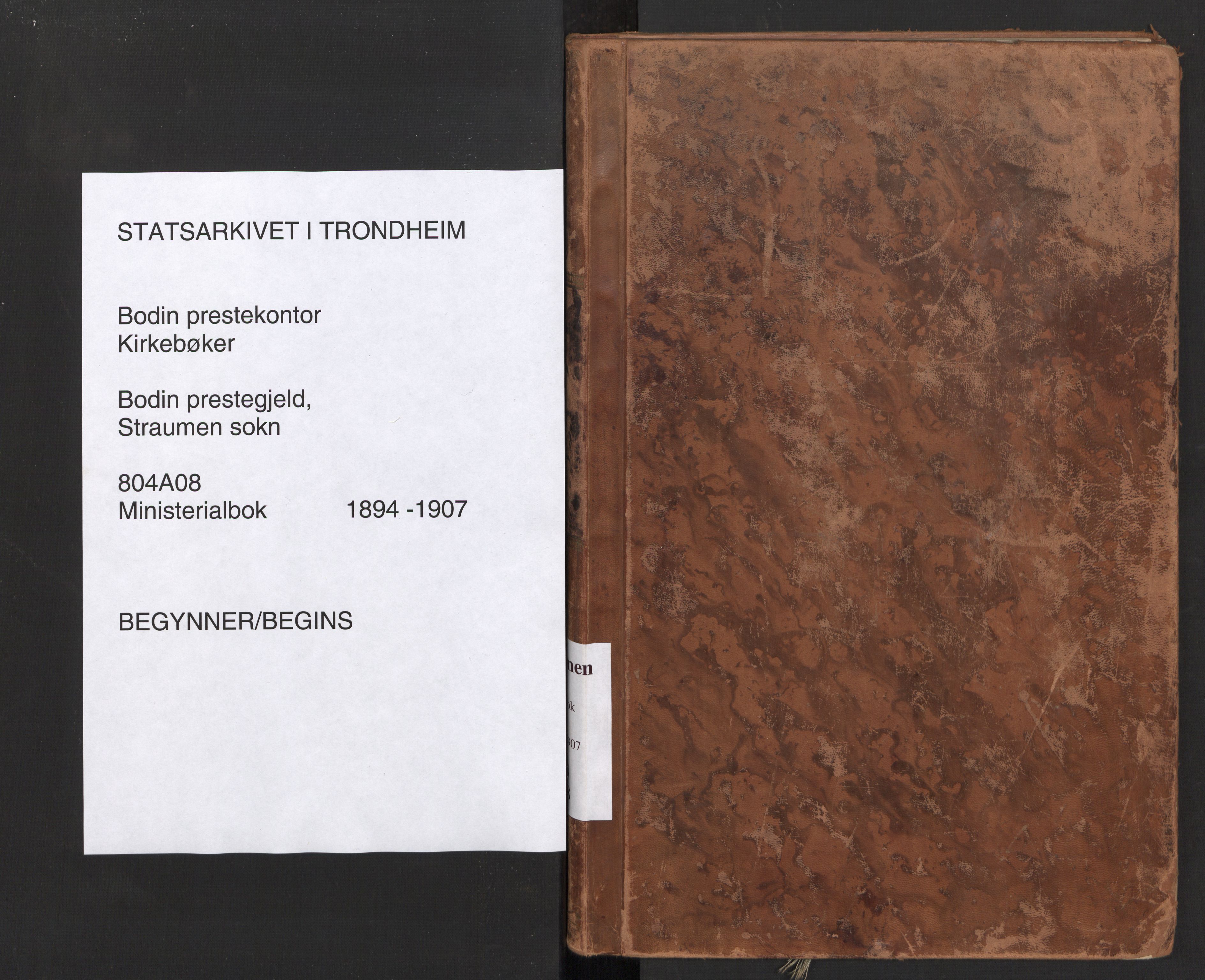 Ministerialprotokoller, klokkerbøker og fødselsregistre - Nordland, SAT/A-1459/804/L0087: Parish register (official) no. 804A08, 1894-1907