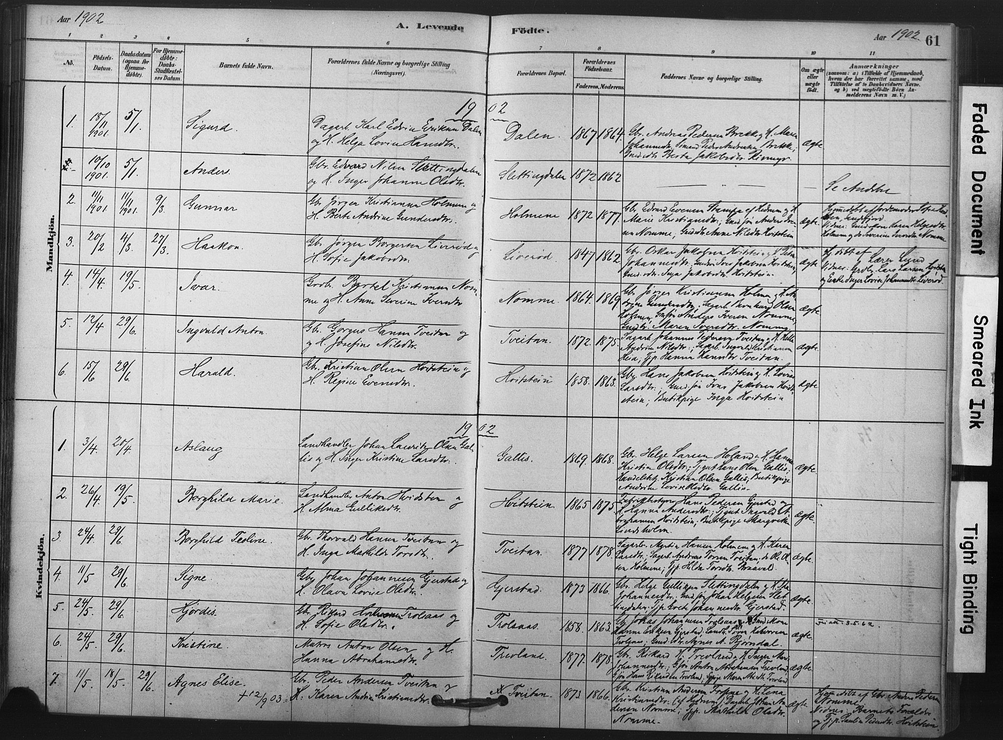 Andebu kirkebøker, AV/SAKO-A-336/F/Fa/L0008: Parish register (official) no. 8, 1878-1902, p. 61