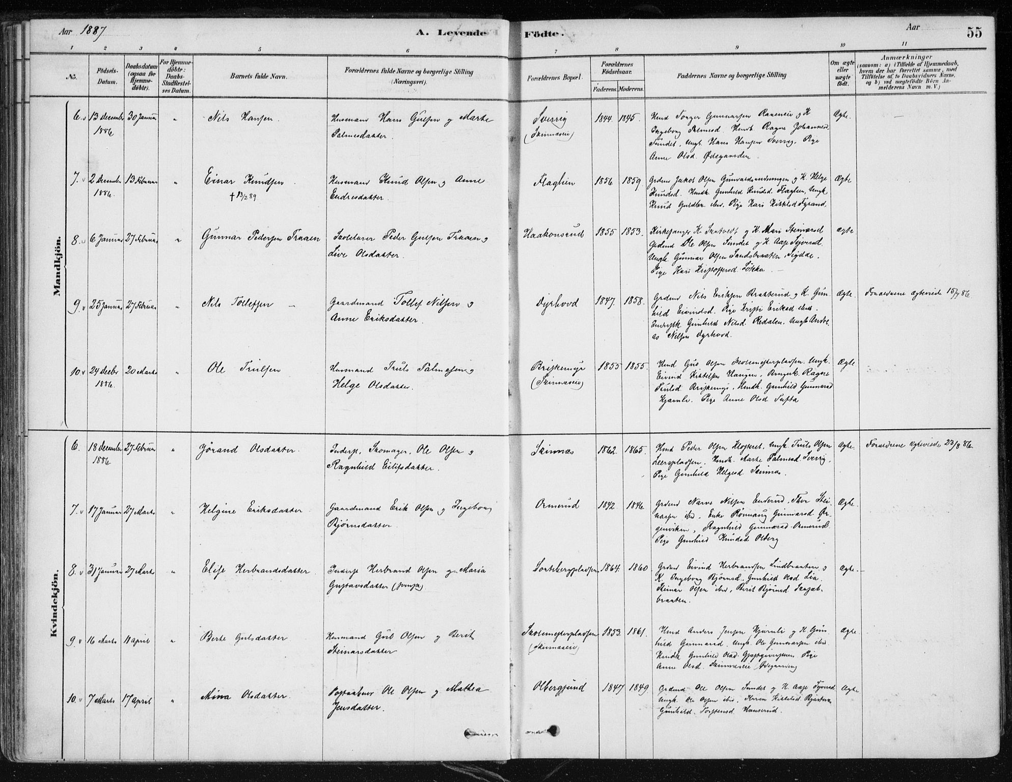 Krødsherad kirkebøker, AV/SAKO-A-19/F/Fa/L0005: Parish register (official) no. 5, 1879-1888, p. 55