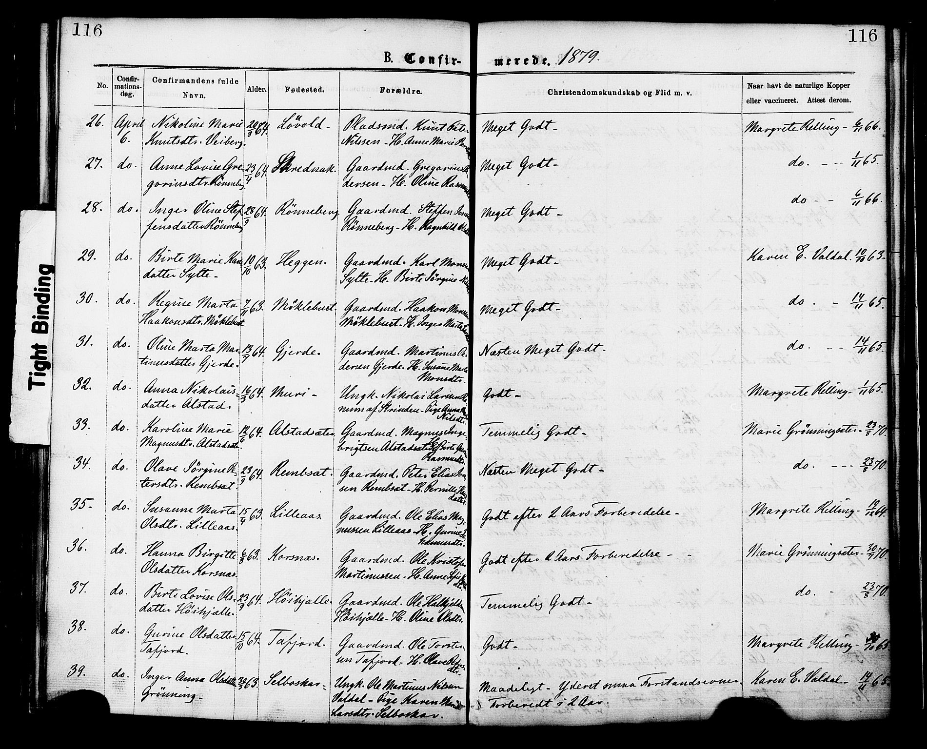 Ministerialprotokoller, klokkerbøker og fødselsregistre - Møre og Romsdal, SAT/A-1454/519/L0254: Parish register (official) no. 519A13, 1868-1883, p. 116