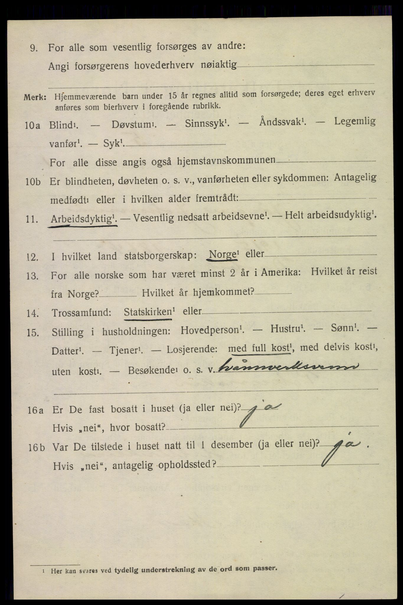 SAKO, 1920 census for Fredriksvern, 1920, p. 1482