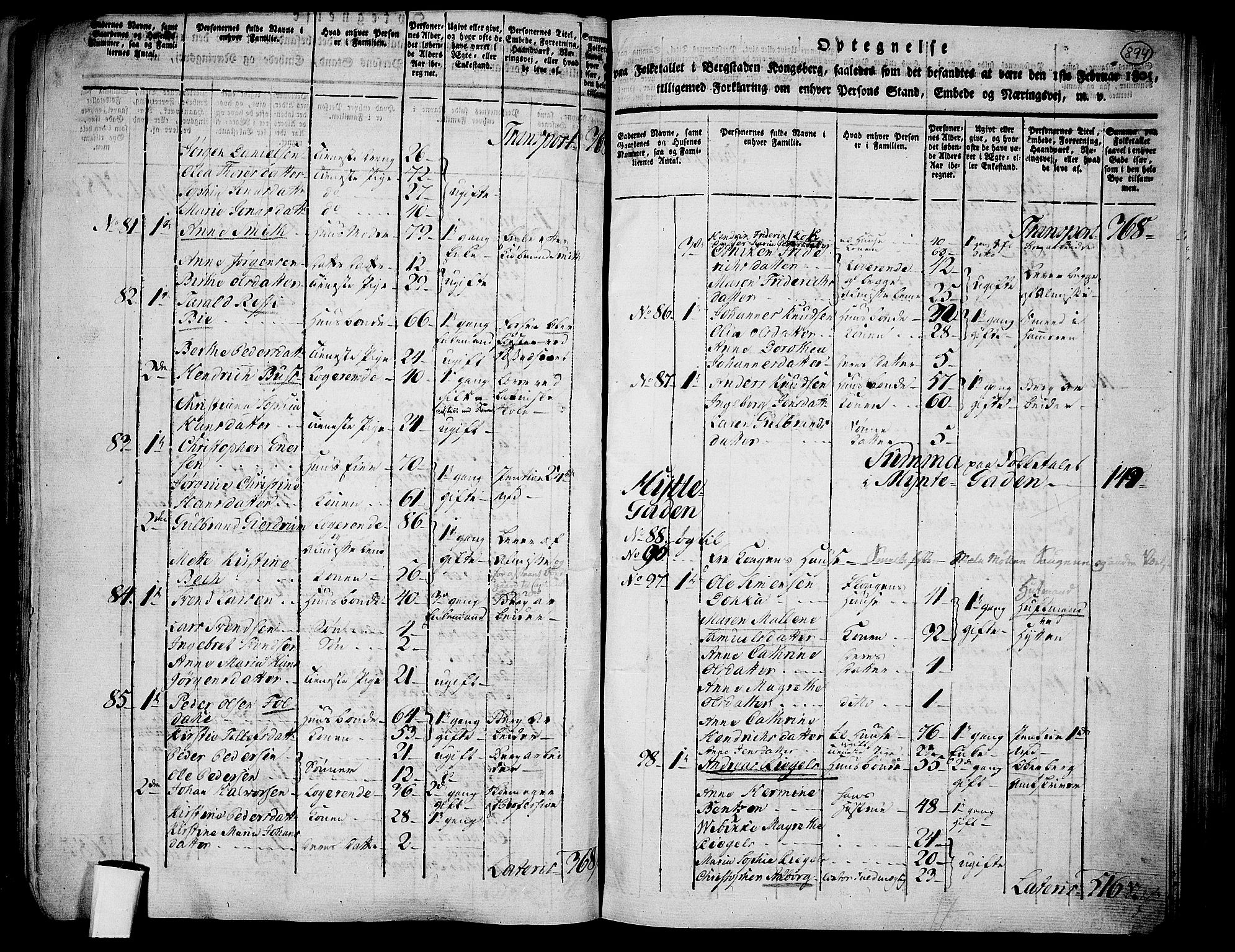 RA, 1801 census for 0604P Kongsberg, 1801, p. 893b-894a