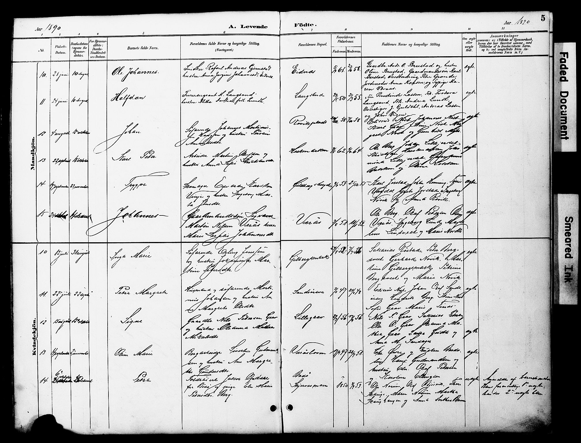 Ministerialprotokoller, klokkerbøker og fødselsregistre - Nord-Trøndelag, SAT/A-1458/722/L0226: Parish register (copy) no. 722C02, 1889-1927, p. 5