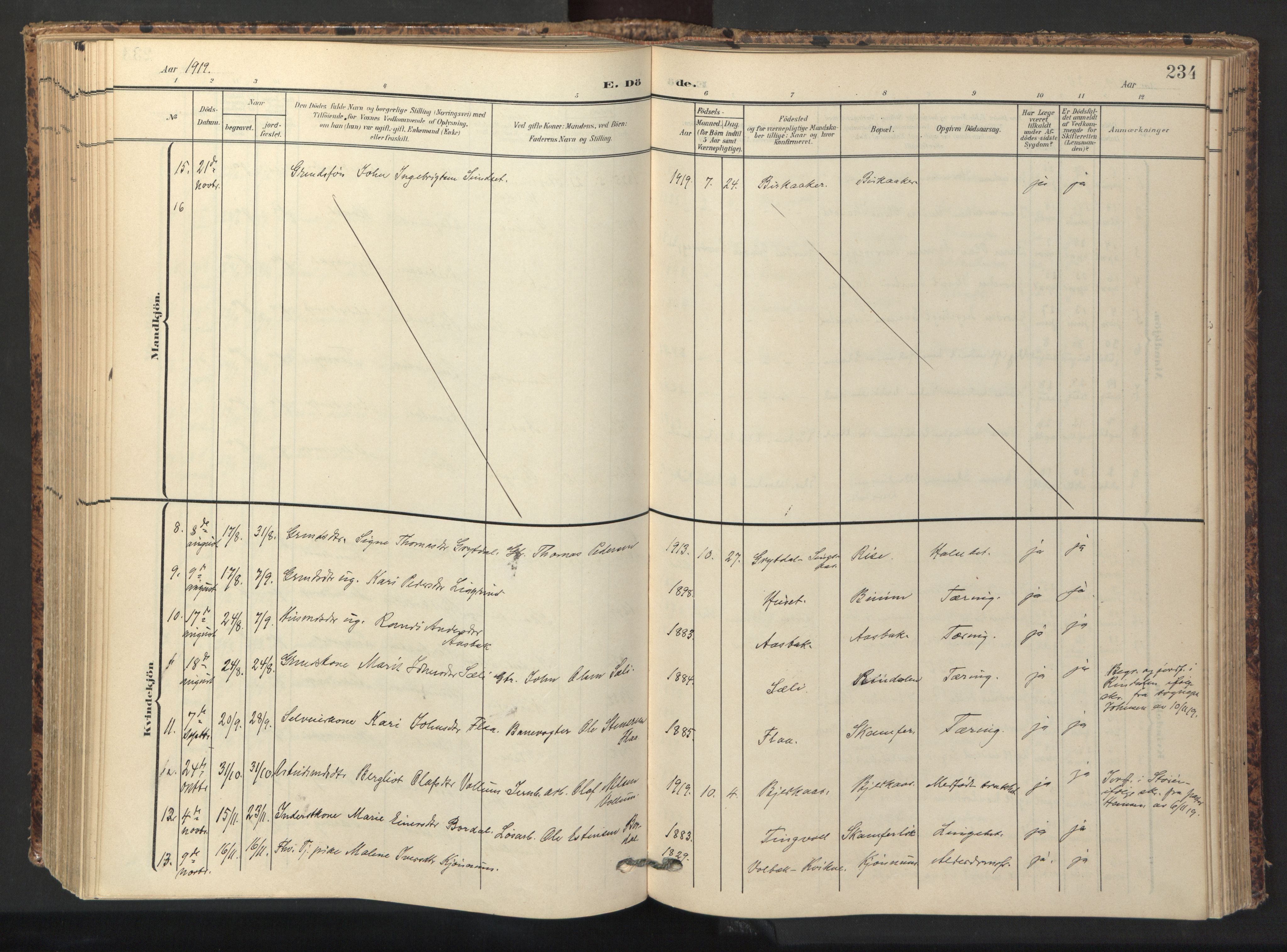 Ministerialprotokoller, klokkerbøker og fødselsregistre - Sør-Trøndelag, AV/SAT-A-1456/674/L0873: Parish register (official) no. 674A05, 1908-1923, p. 234