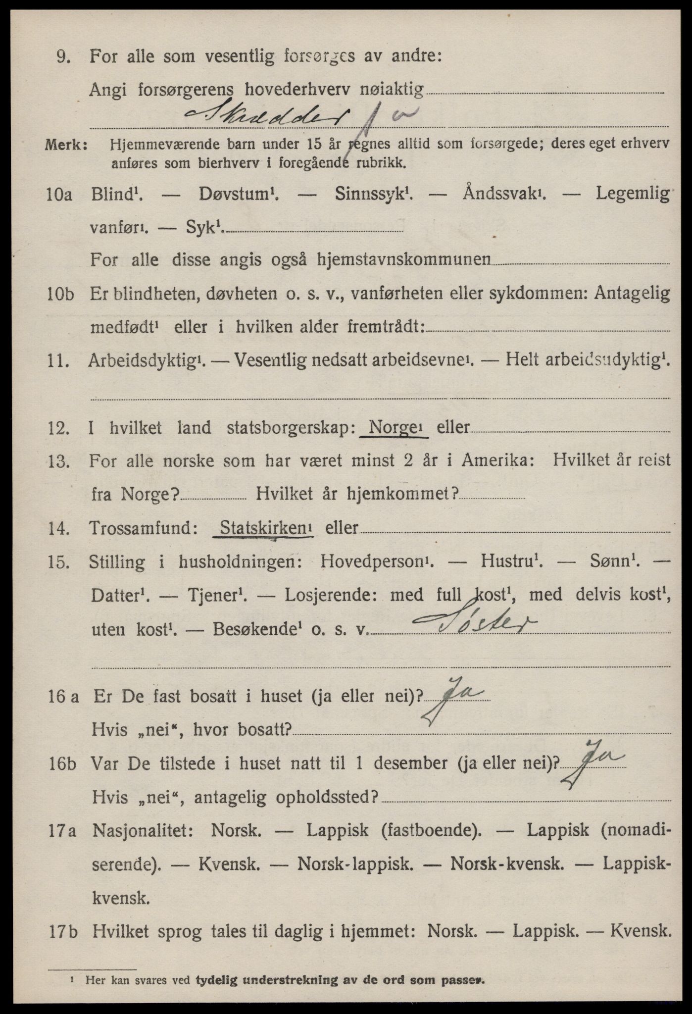 SAT, 1920 census for Selbu, 1920, p. 9813