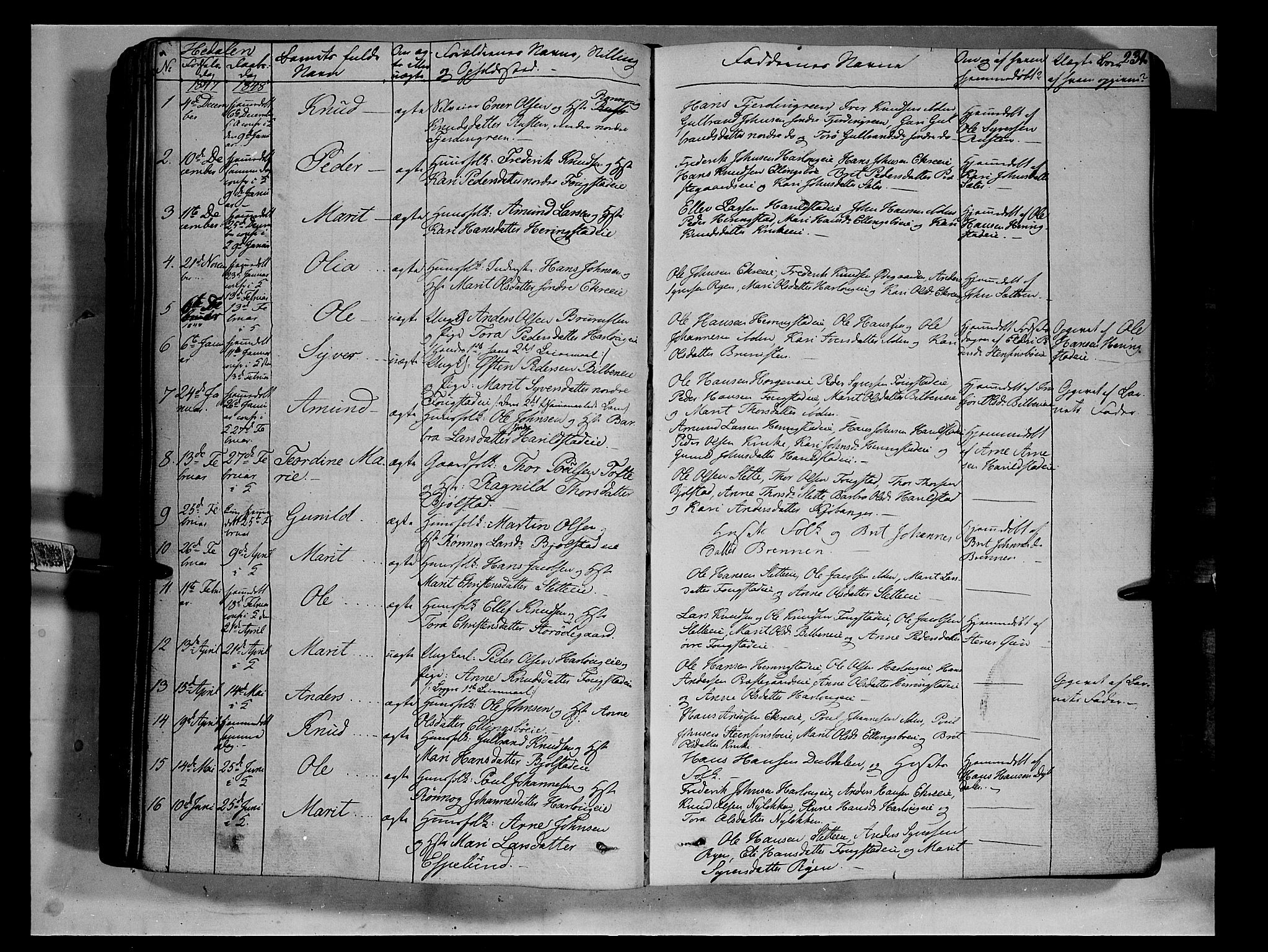 Vågå prestekontor, AV/SAH-PREST-076/H/Ha/Haa/L0005: Parish register (official) no. 5 /2, 1842-1856, p. 231