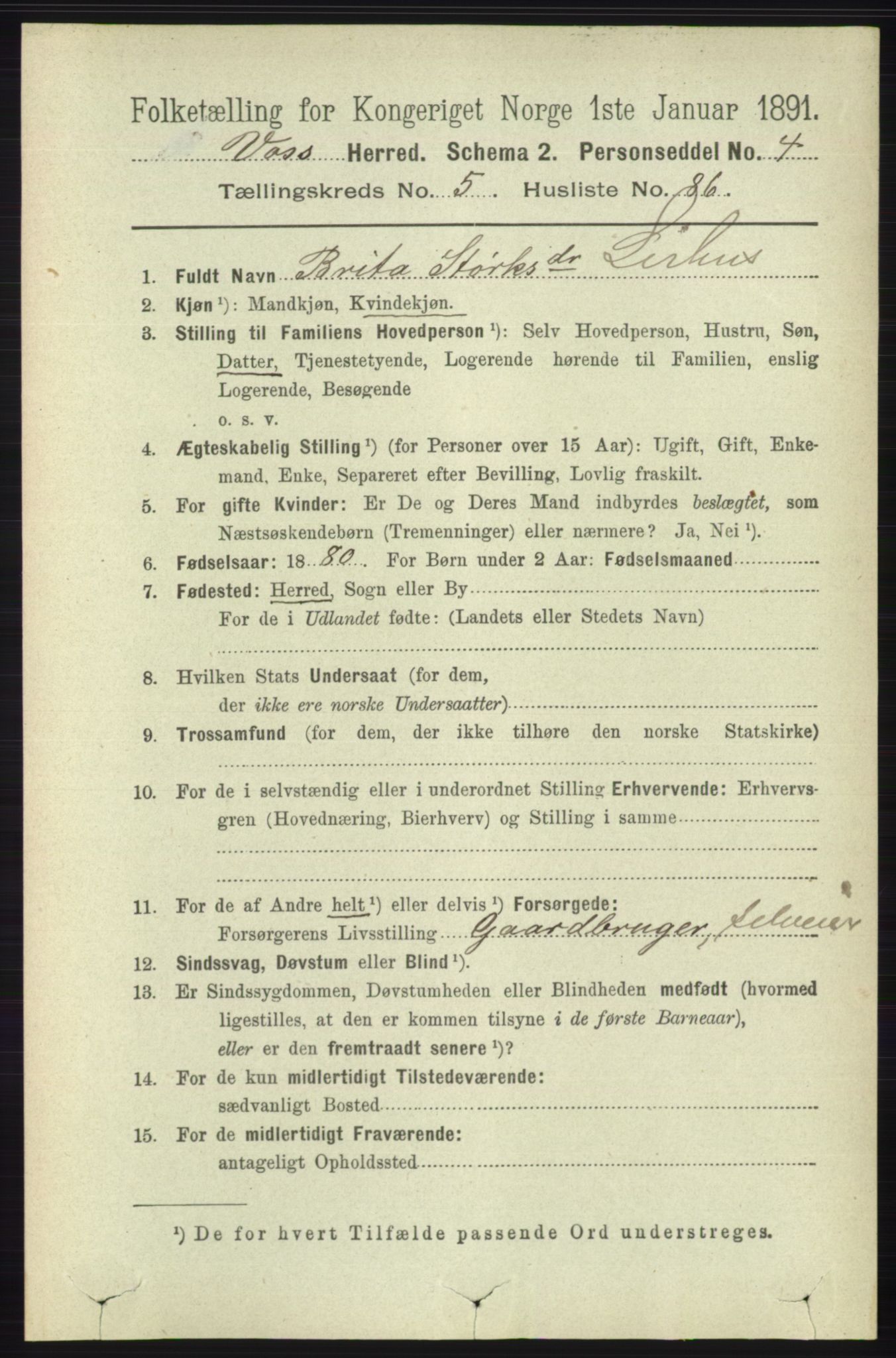 RA, 1891 census for 1235 Voss, 1891, p. 3199