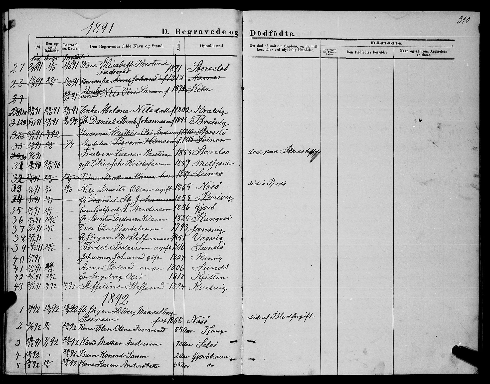 Ministerialprotokoller, klokkerbøker og fødselsregistre - Nordland, SAT/A-1459/841/L0620: Parish register (copy) no. 841C04, 1877-1896, p. 310