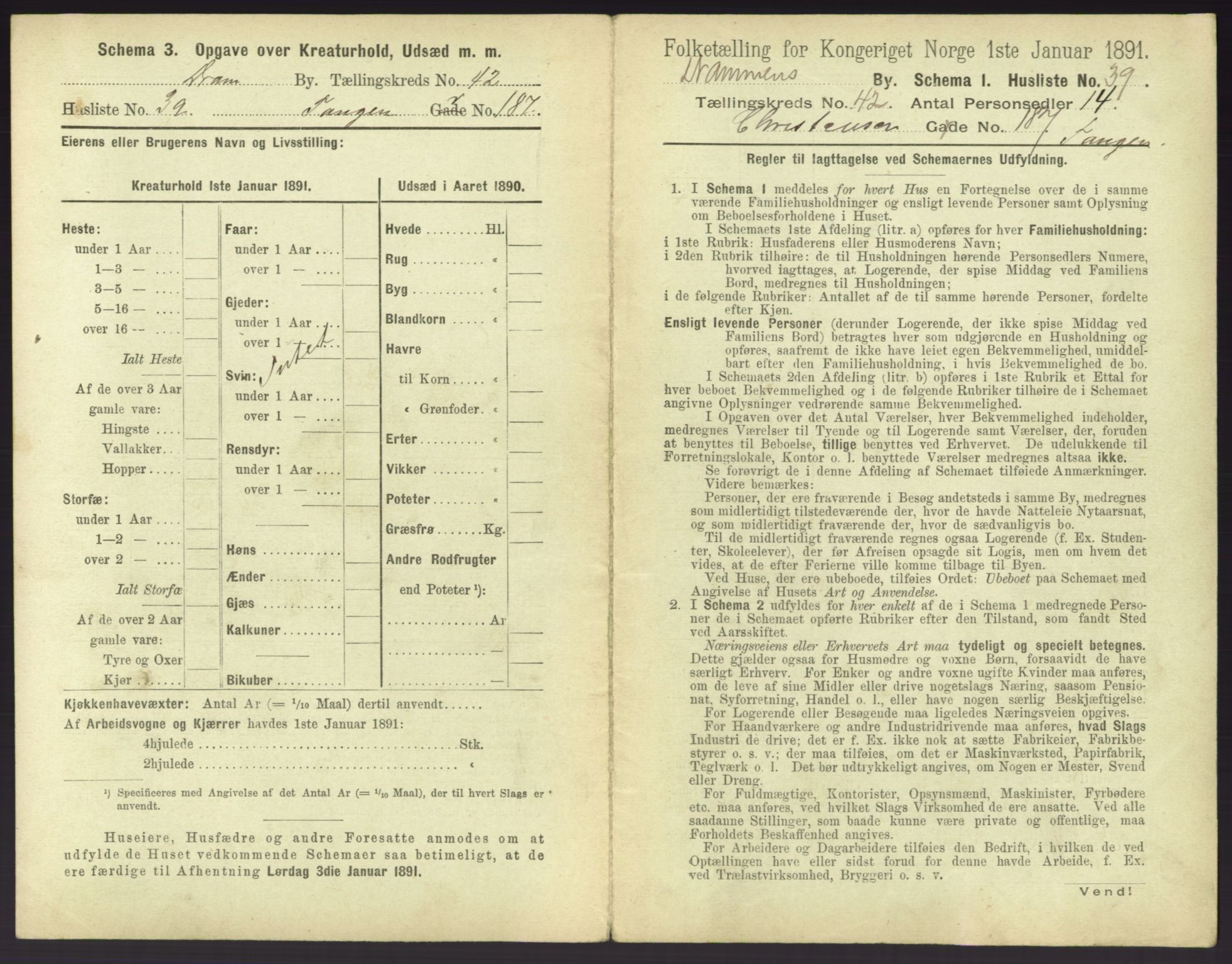 RA, 1891 census for 0602 Drammen, 1891, p. 3793