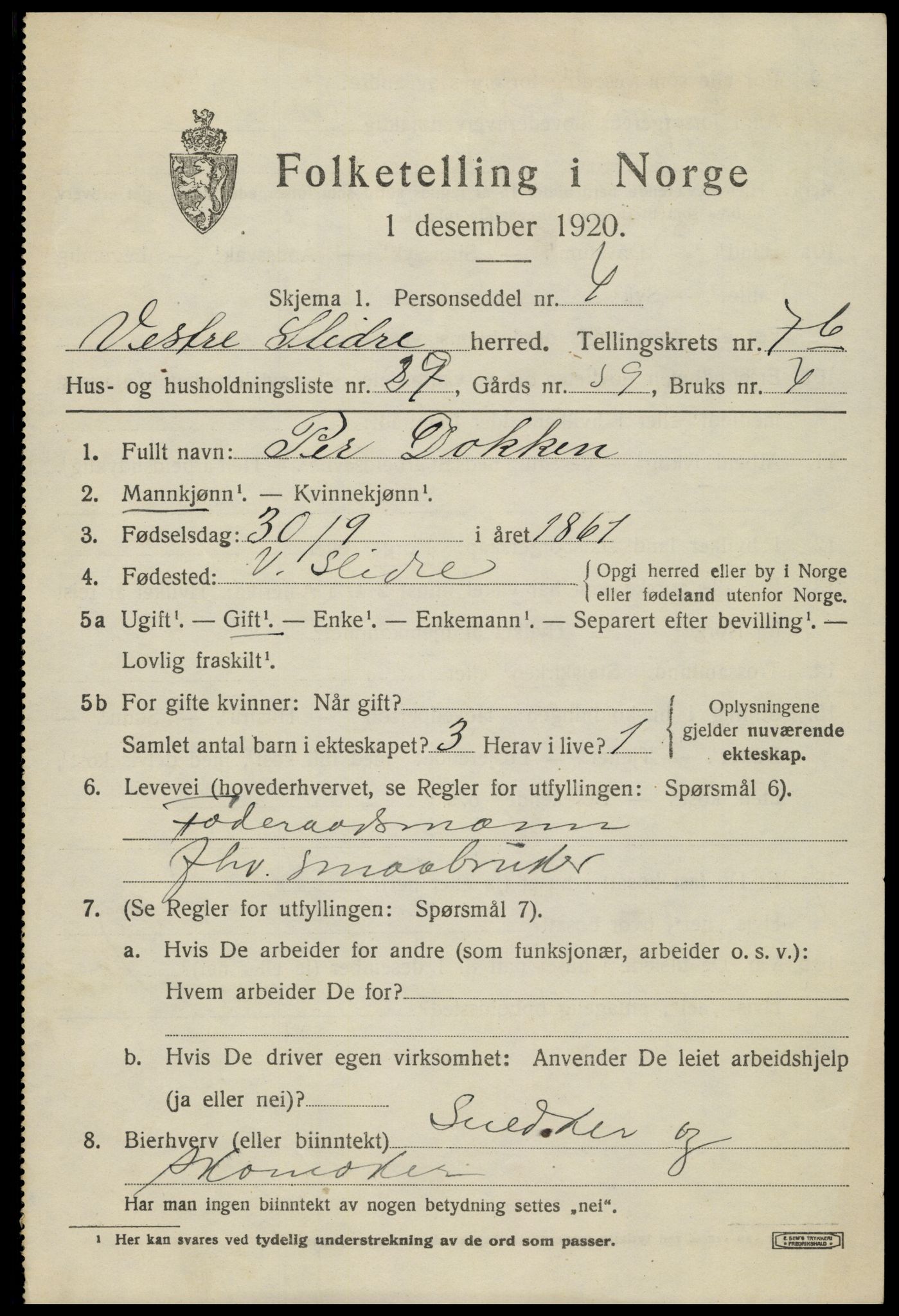 SAH, 1920 census for Vestre Slidre, 1920, p. 4272