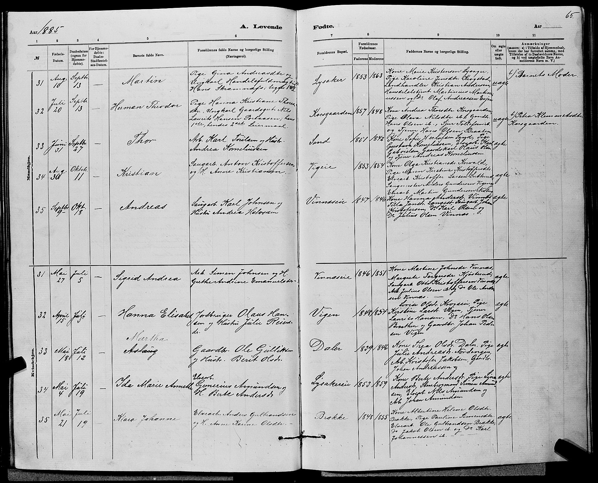 Nedre Eiker kirkebøker, AV/SAKO-A-612/G/Ga/L0002: Parish register (copy) no. 2, 1880-1896, p. 65