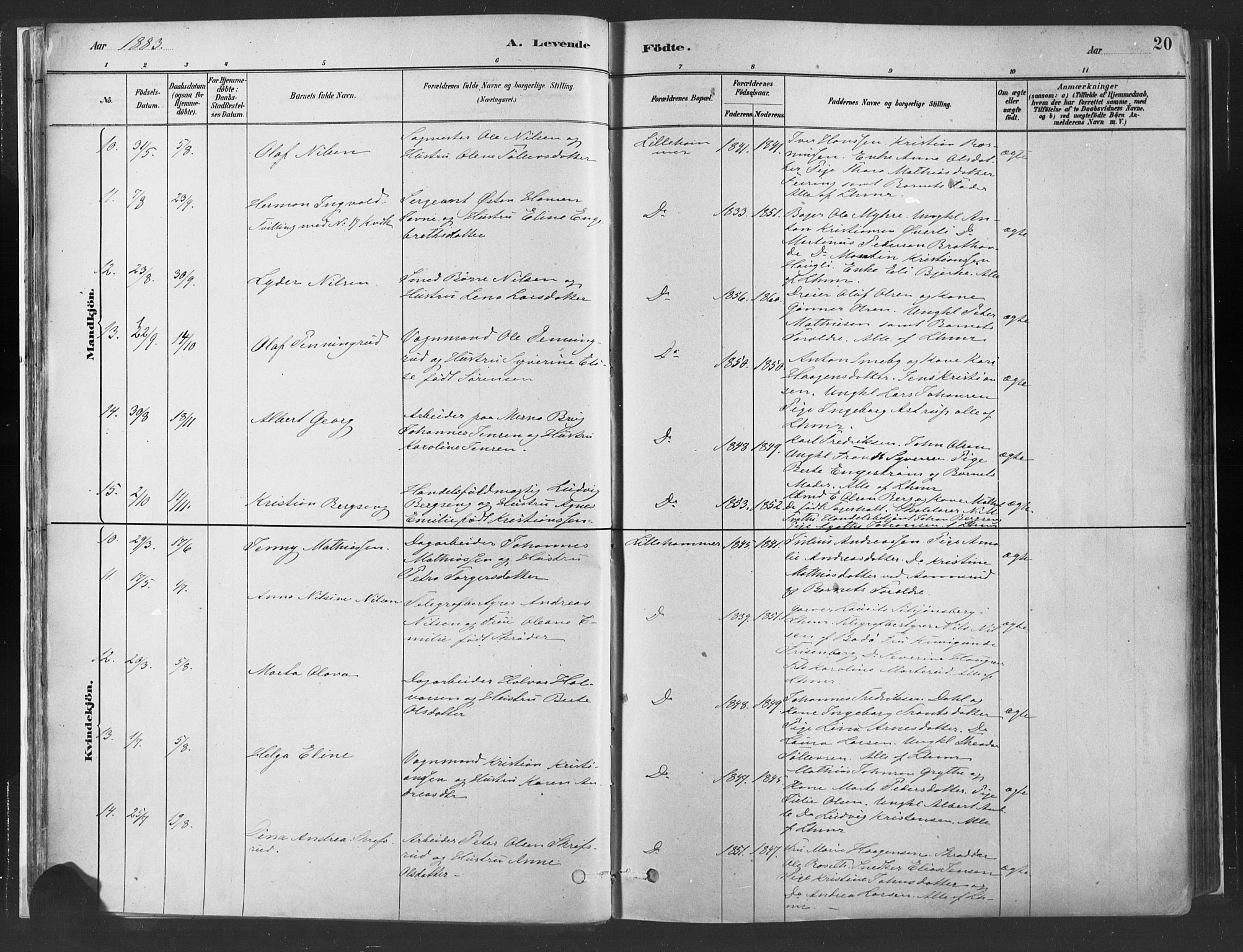 Fåberg prestekontor, SAH/PREST-086/H/Ha/Haa/L0010: Parish register (official) no. 10, 1879-1900, p. 20