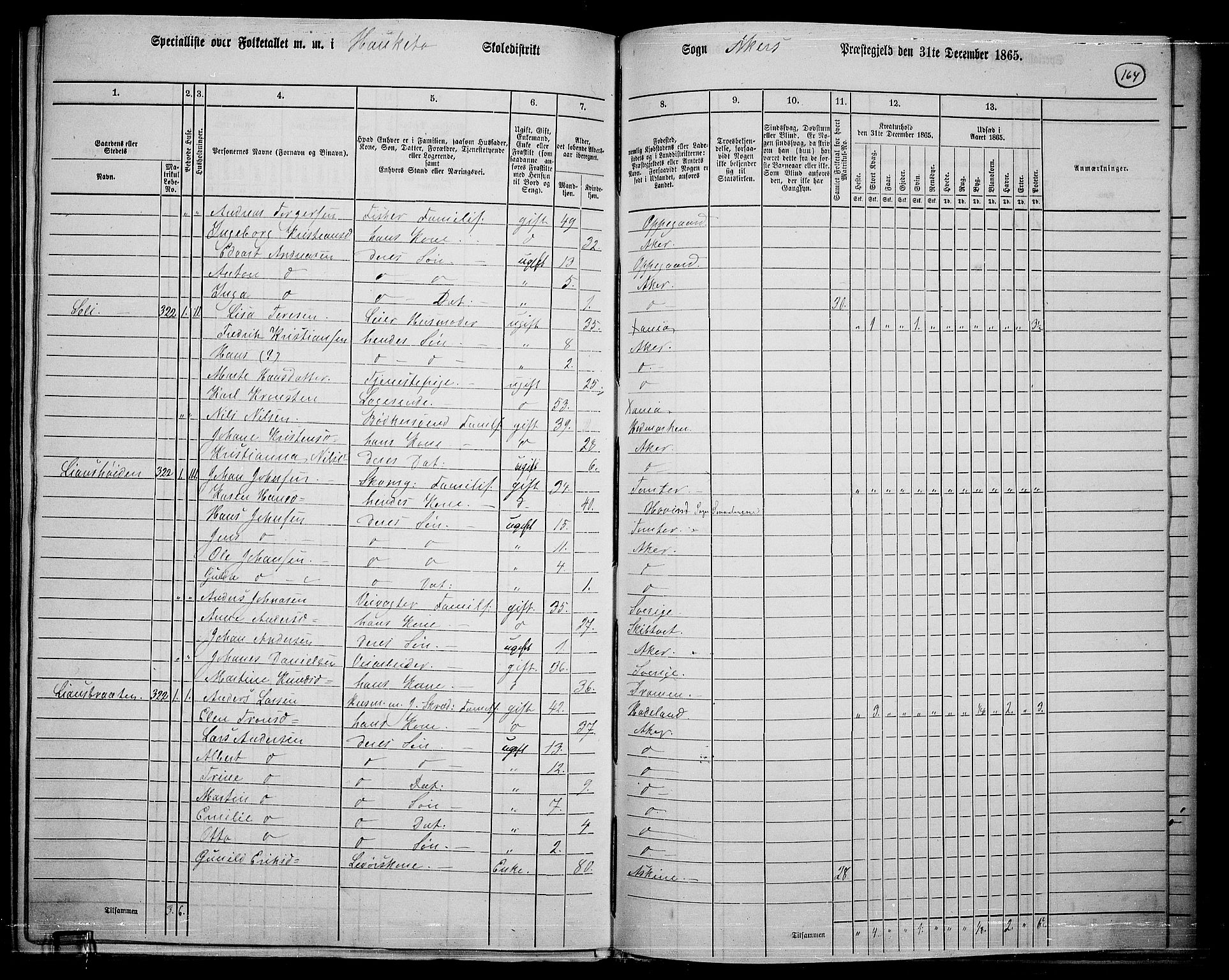 RA, 1865 census for Østre Aker, 1865, p. 383