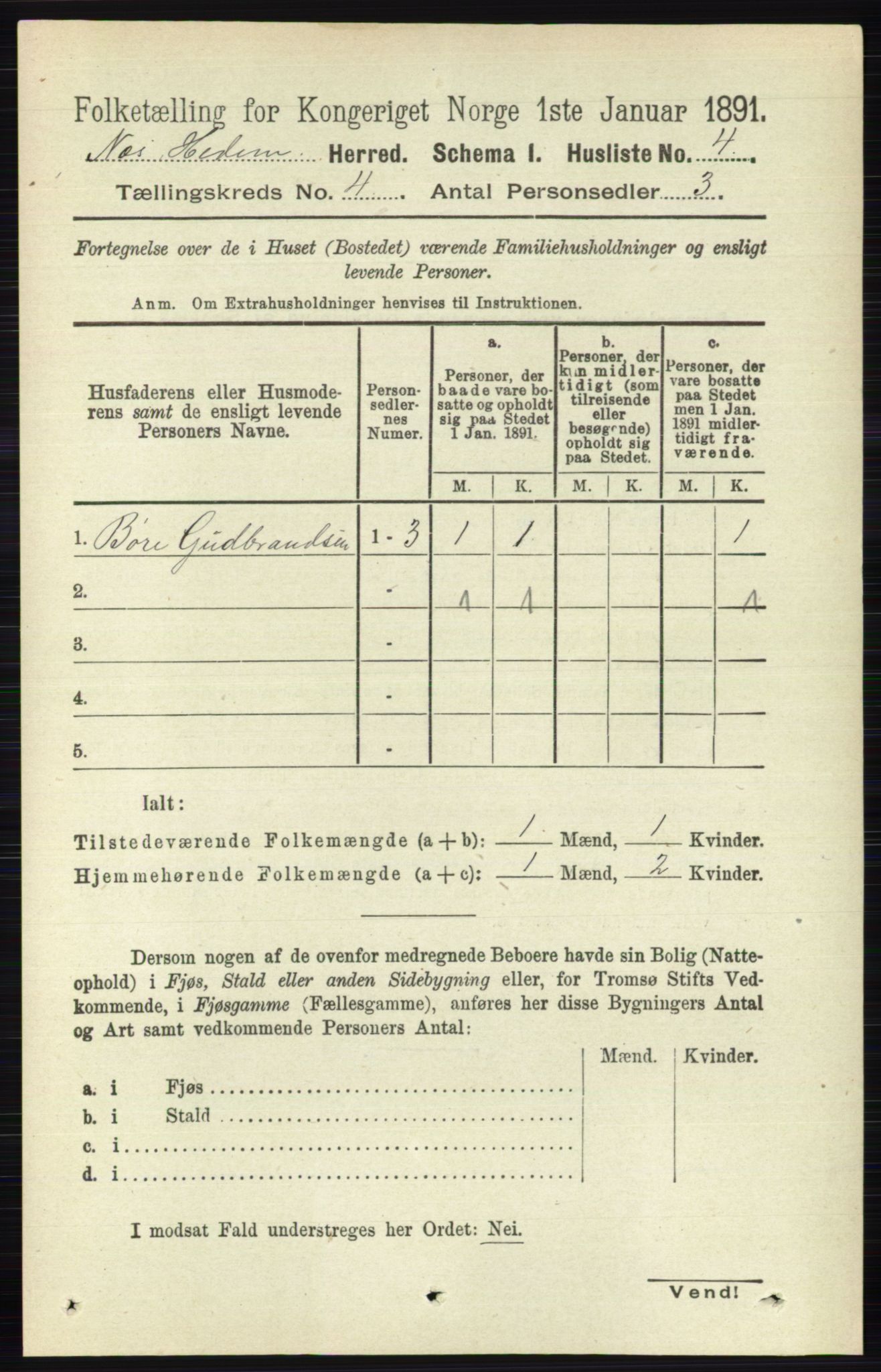 RA, 1891 census for 0411 Nes, 1891, p. 1956