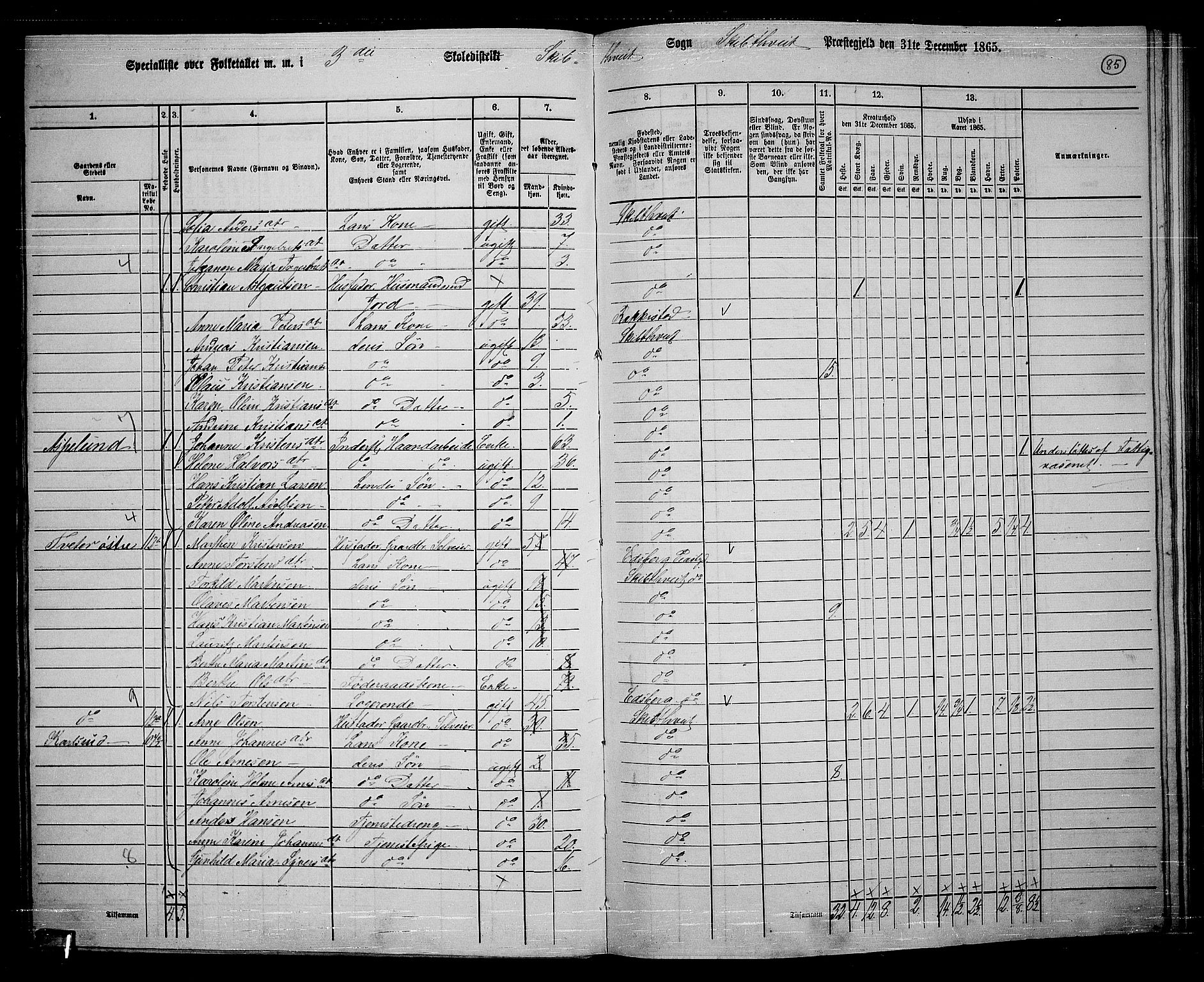 RA, 1865 census for Skiptvet, 1865, p. 76