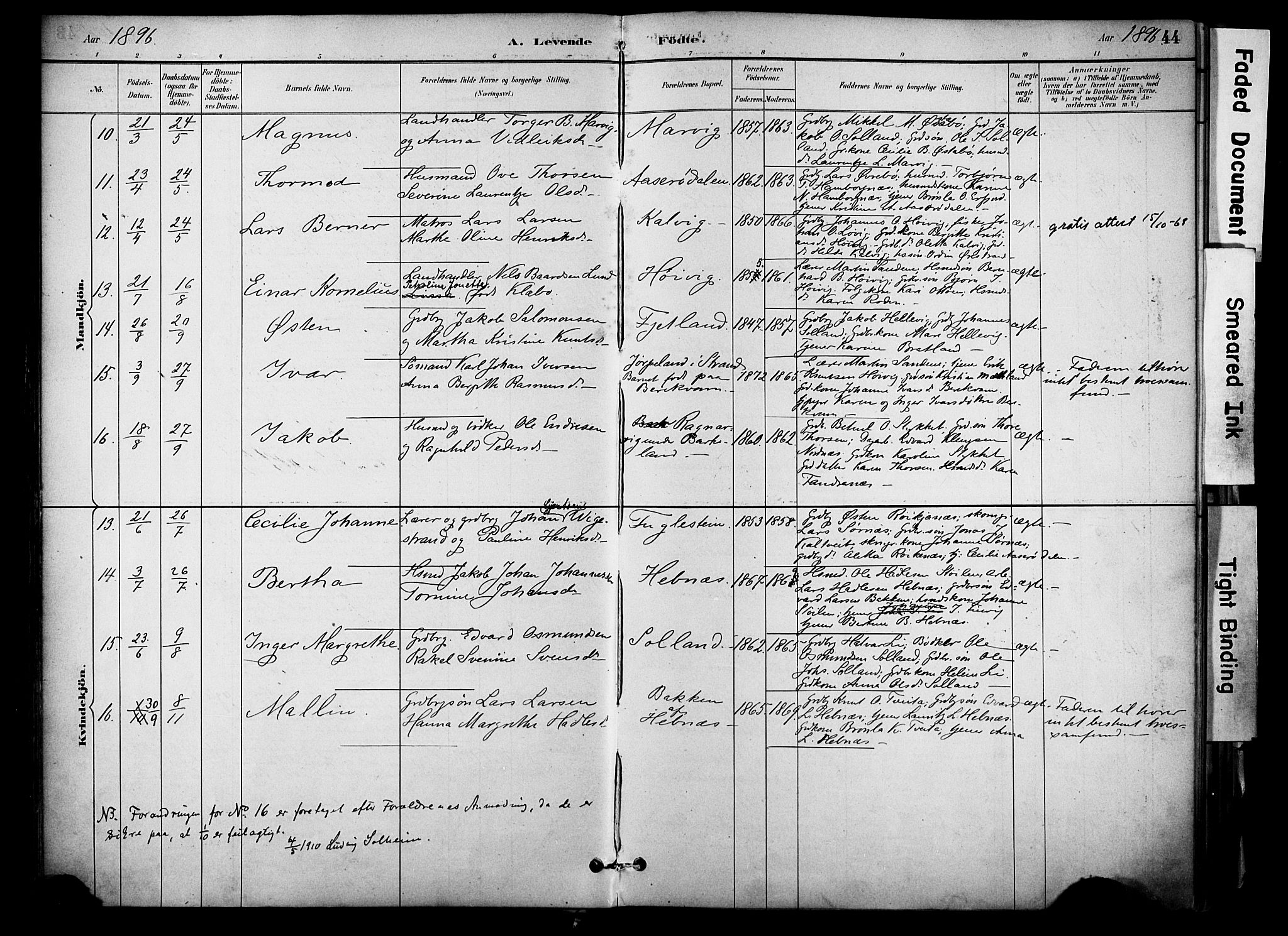 Jelsa sokneprestkontor, AV/SAST-A-101842/01/IV: Parish register (official) no. A 10, 1884-1906, p. 44