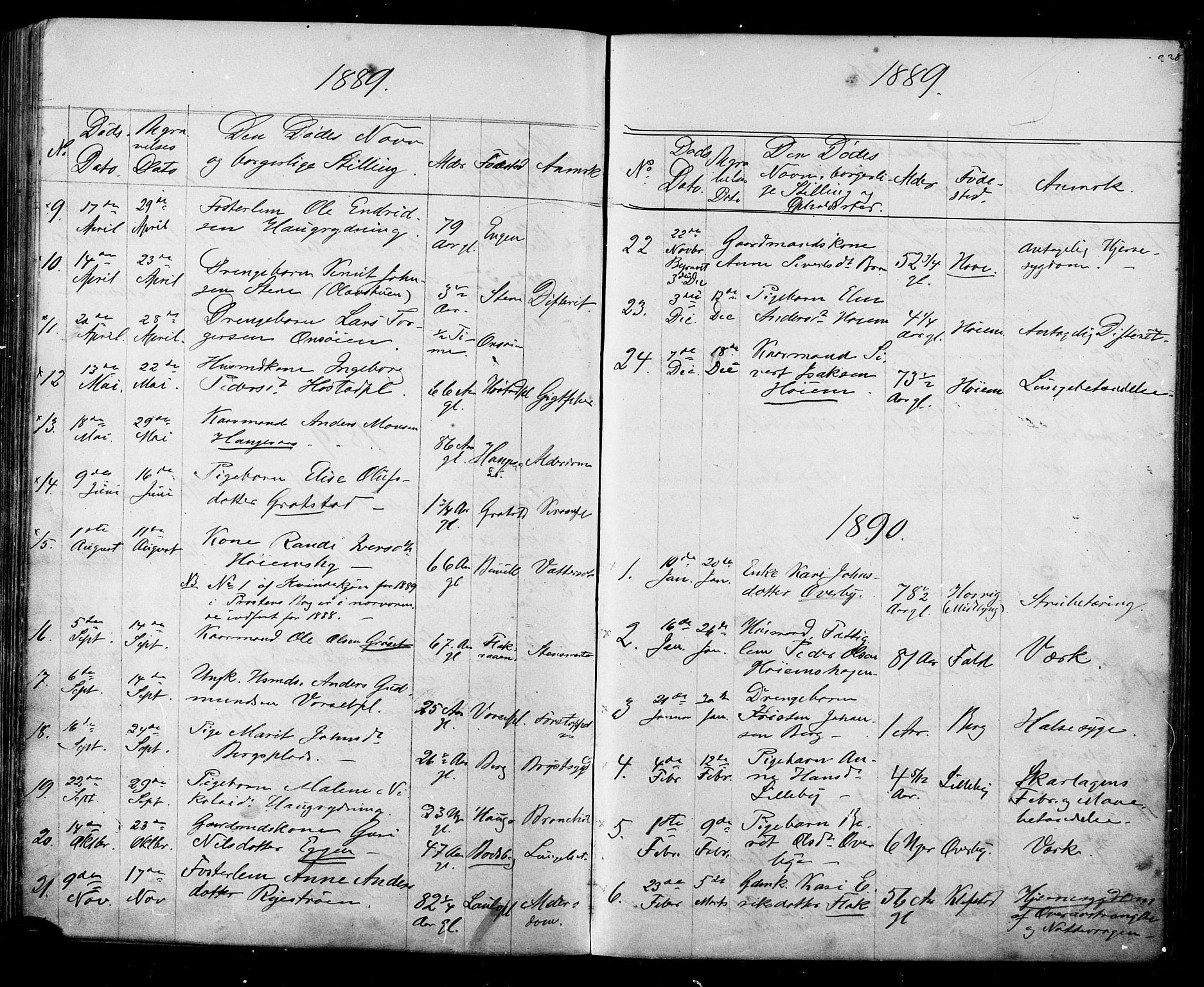 Ministerialprotokoller, klokkerbøker og fødselsregistre - Sør-Trøndelag, SAT/A-1456/612/L0387: Parish register (copy) no. 612C03, 1874-1908, p. 228