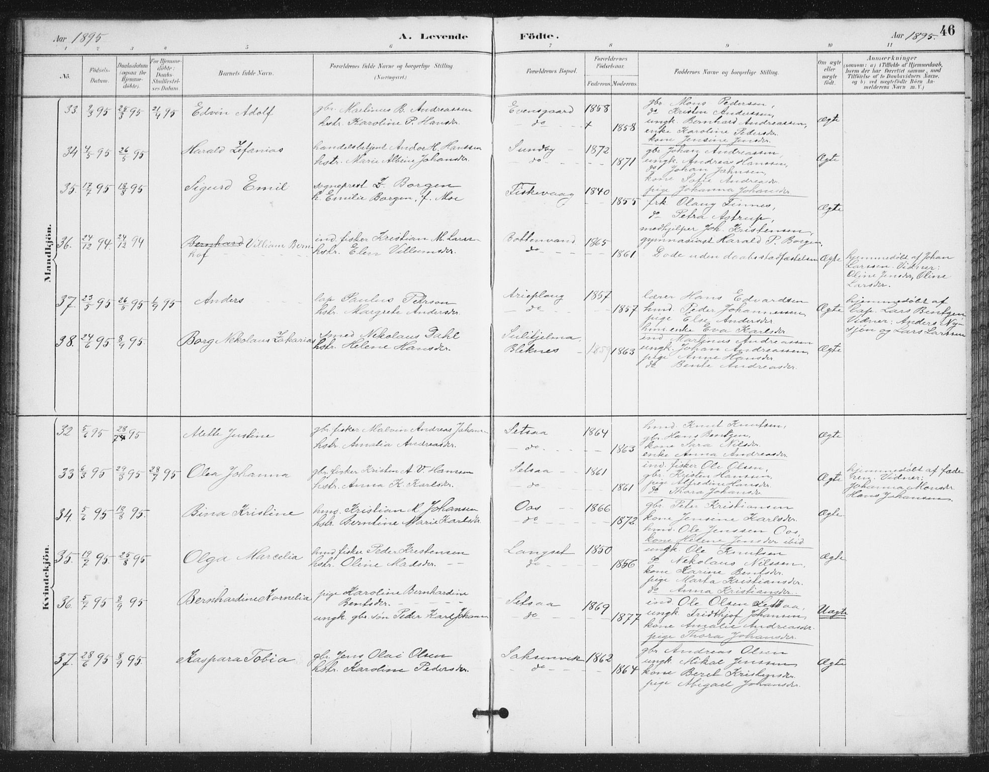 Ministerialprotokoller, klokkerbøker og fødselsregistre - Nordland, AV/SAT-A-1459/847/L0682: Parish register (copy) no. 847C10, 1889-1907, p. 46