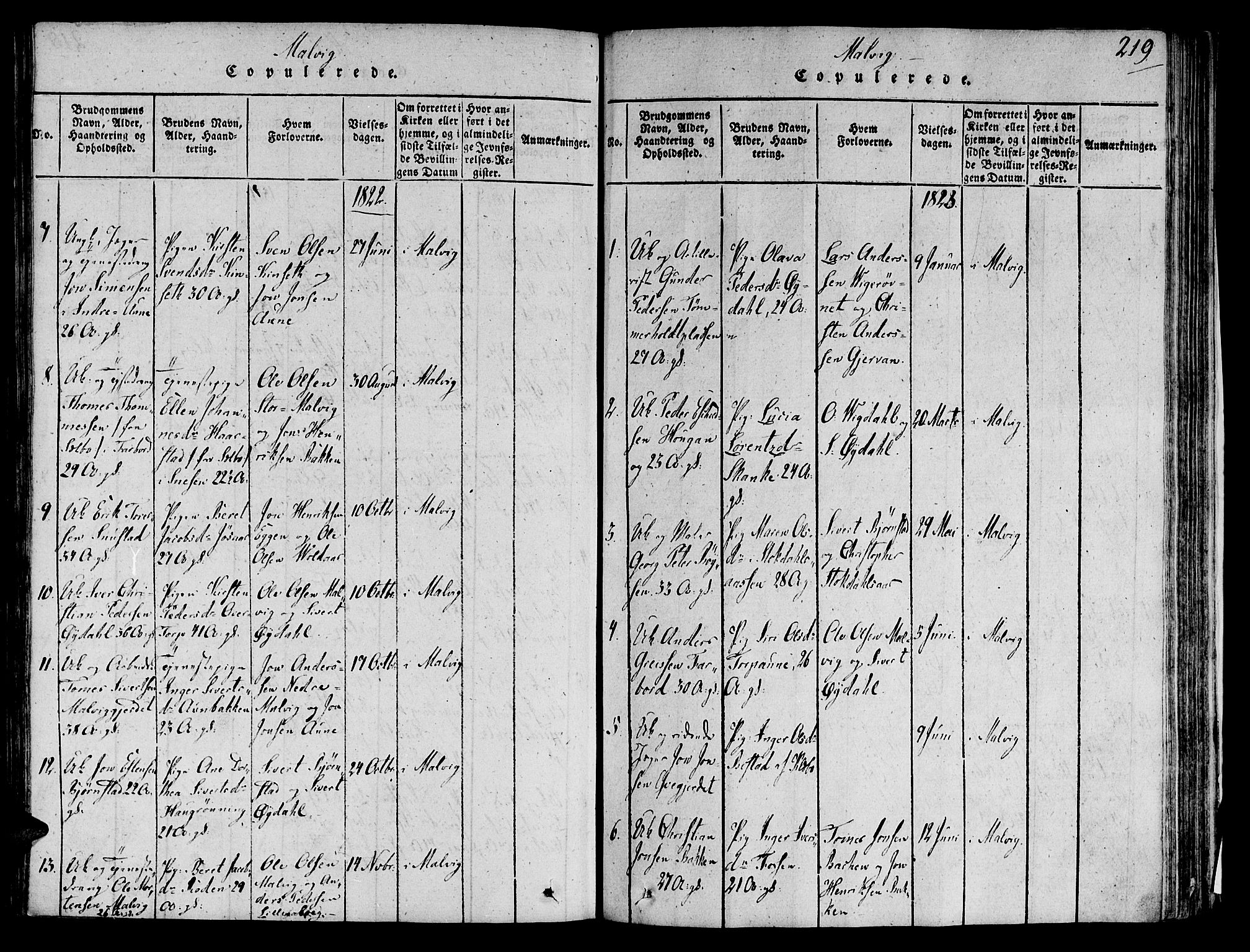 Ministerialprotokoller, klokkerbøker og fødselsregistre - Sør-Trøndelag, SAT/A-1456/606/L0284: Parish register (official) no. 606A03 /2, 1819-1823, p. 219
