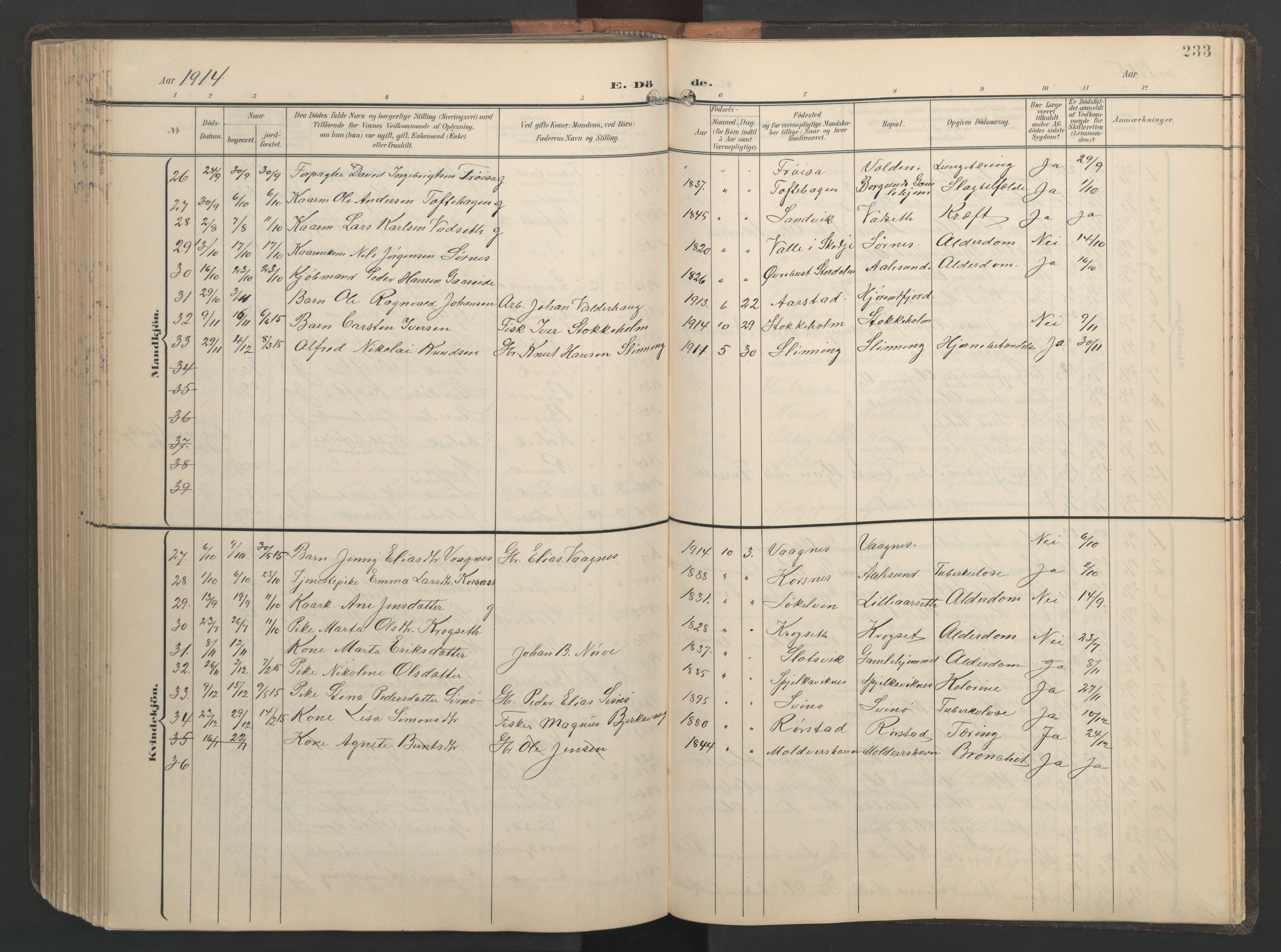 Ministerialprotokoller, klokkerbøker og fødselsregistre - Møre og Romsdal, AV/SAT-A-1454/528/L0433: Parish register (copy) no. 528C14, 1899-1922, p. 233