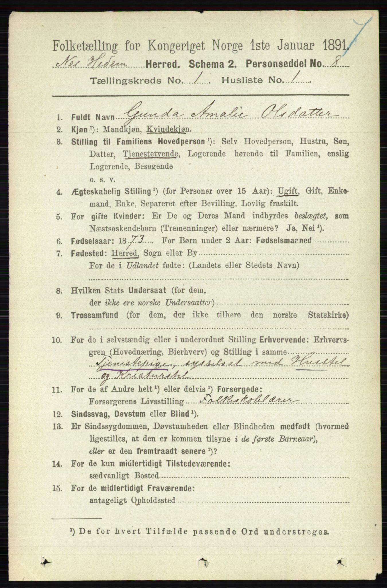 RA, 1891 census for 0411 Nes, 1891, p. 166