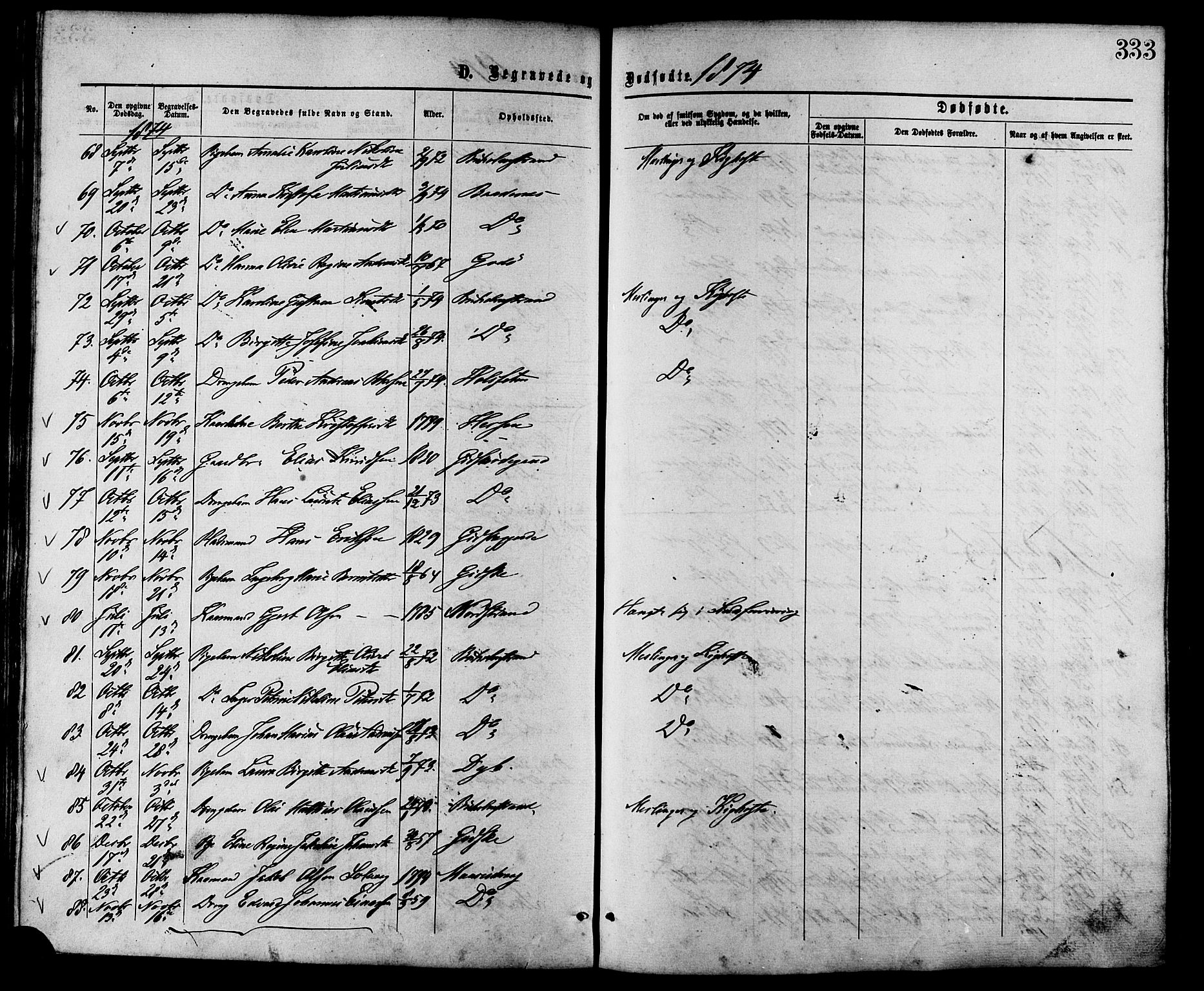 Ministerialprotokoller, klokkerbøker og fødselsregistre - Møre og Romsdal, AV/SAT-A-1454/528/L0399: Parish register (official) no. 528A10, 1864-1879, p. 333