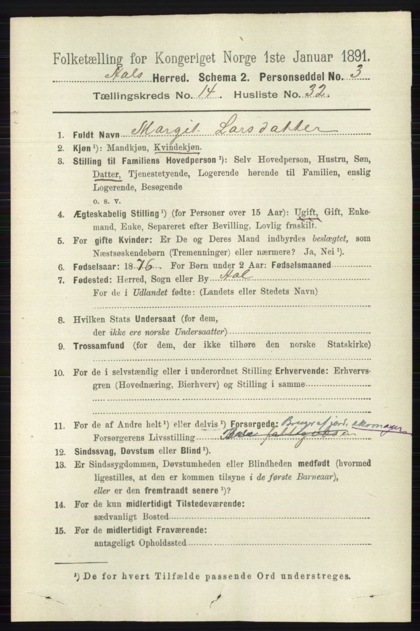 RA, 1891 census for 0619 Ål, 1891, p. 3698