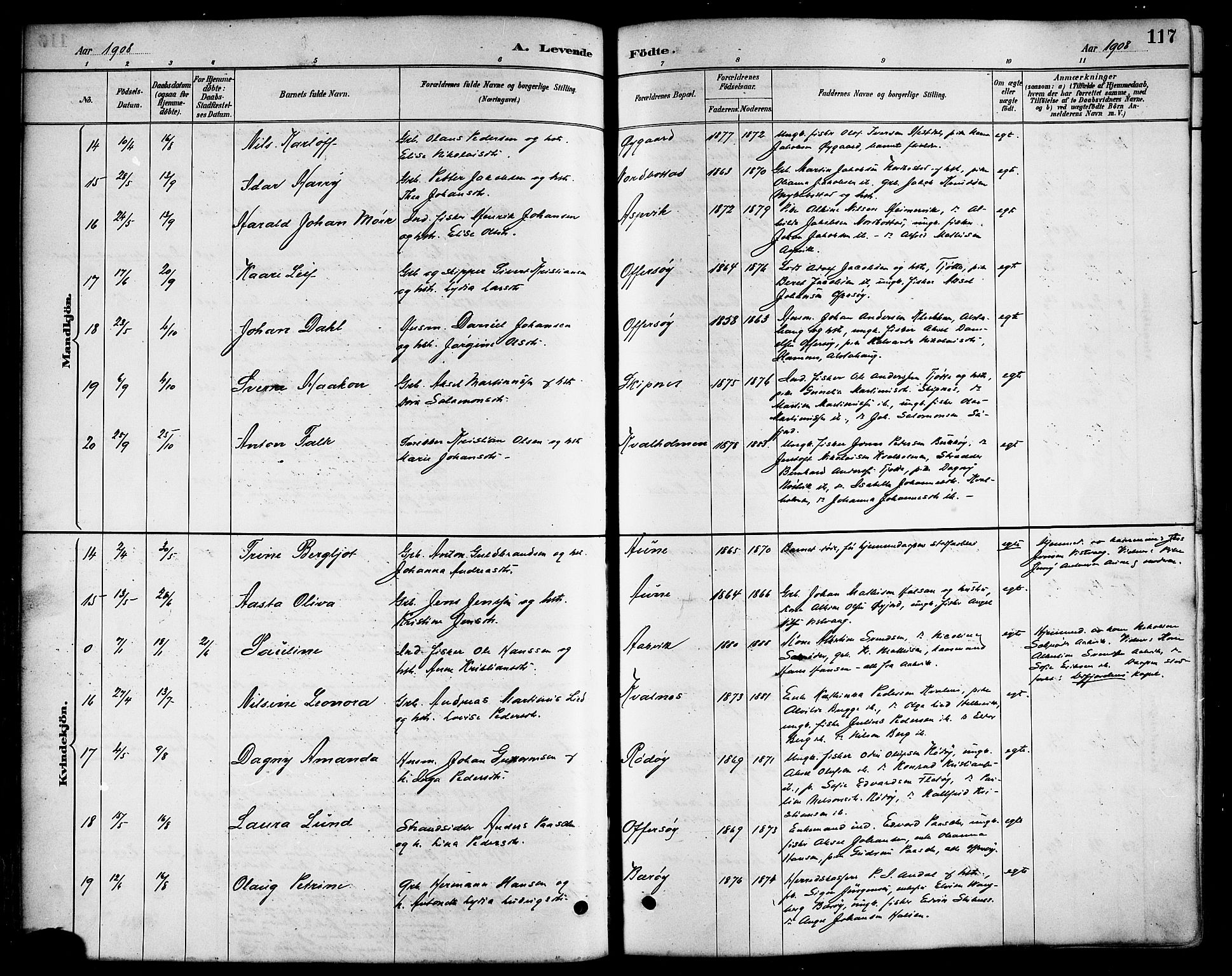 Ministerialprotokoller, klokkerbøker og fødselsregistre - Nordland, AV/SAT-A-1459/817/L0268: Parish register (copy) no. 817C03, 1884-1920, p. 117