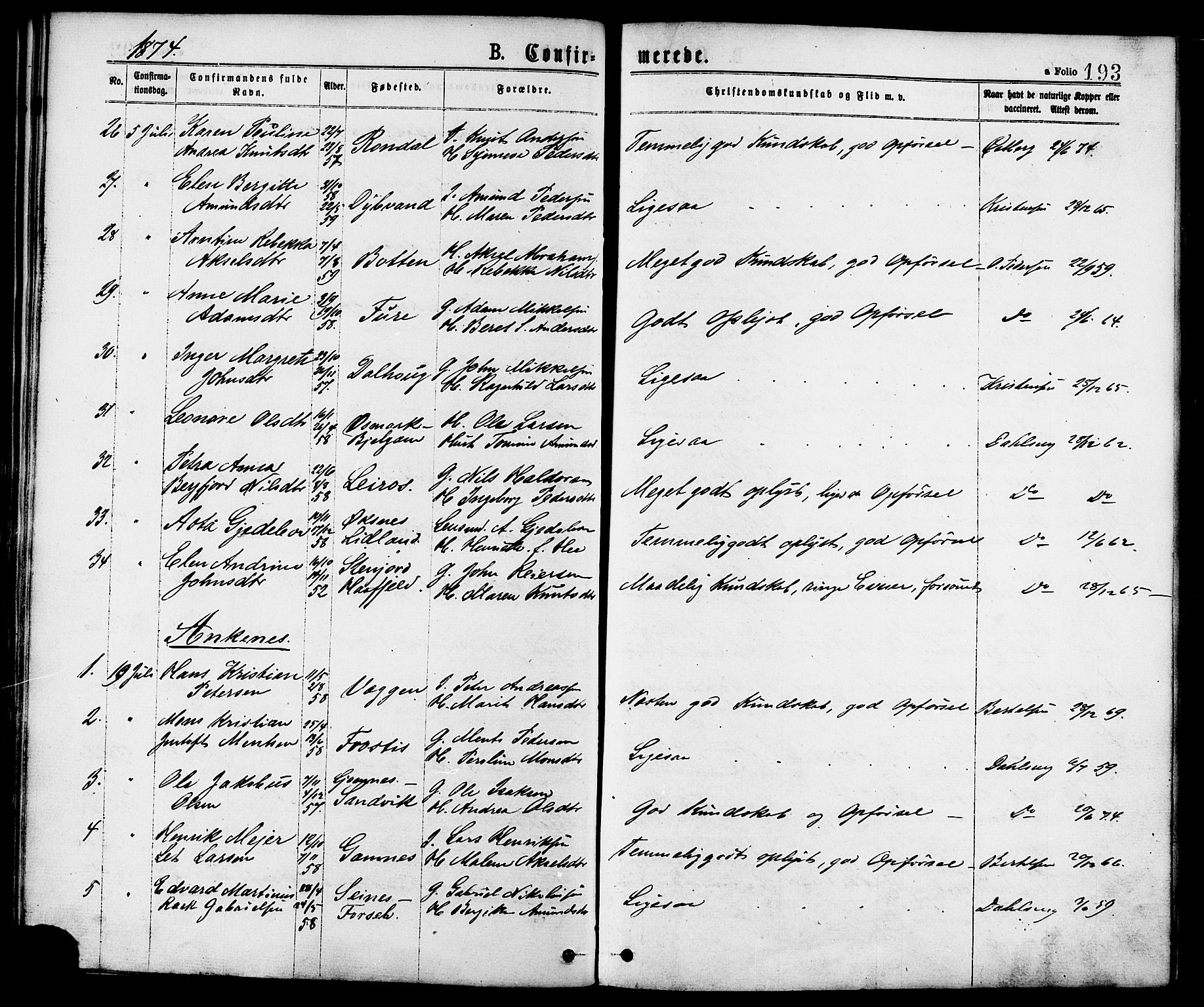 Ministerialprotokoller, klokkerbøker og fødselsregistre - Nordland, AV/SAT-A-1459/863/L0897: Parish register (official) no. 863A09, 1872-1886, p. 193