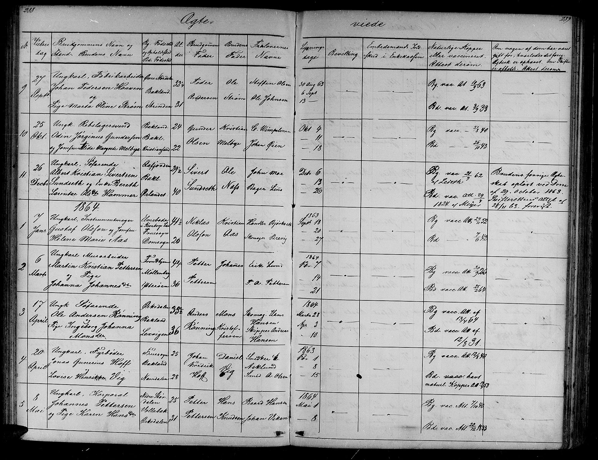 Ministerialprotokoller, klokkerbøker og fødselsregistre - Sør-Trøndelag, SAT/A-1456/604/L0219: Parish register (copy) no. 604C02, 1851-1869, p. 288-289