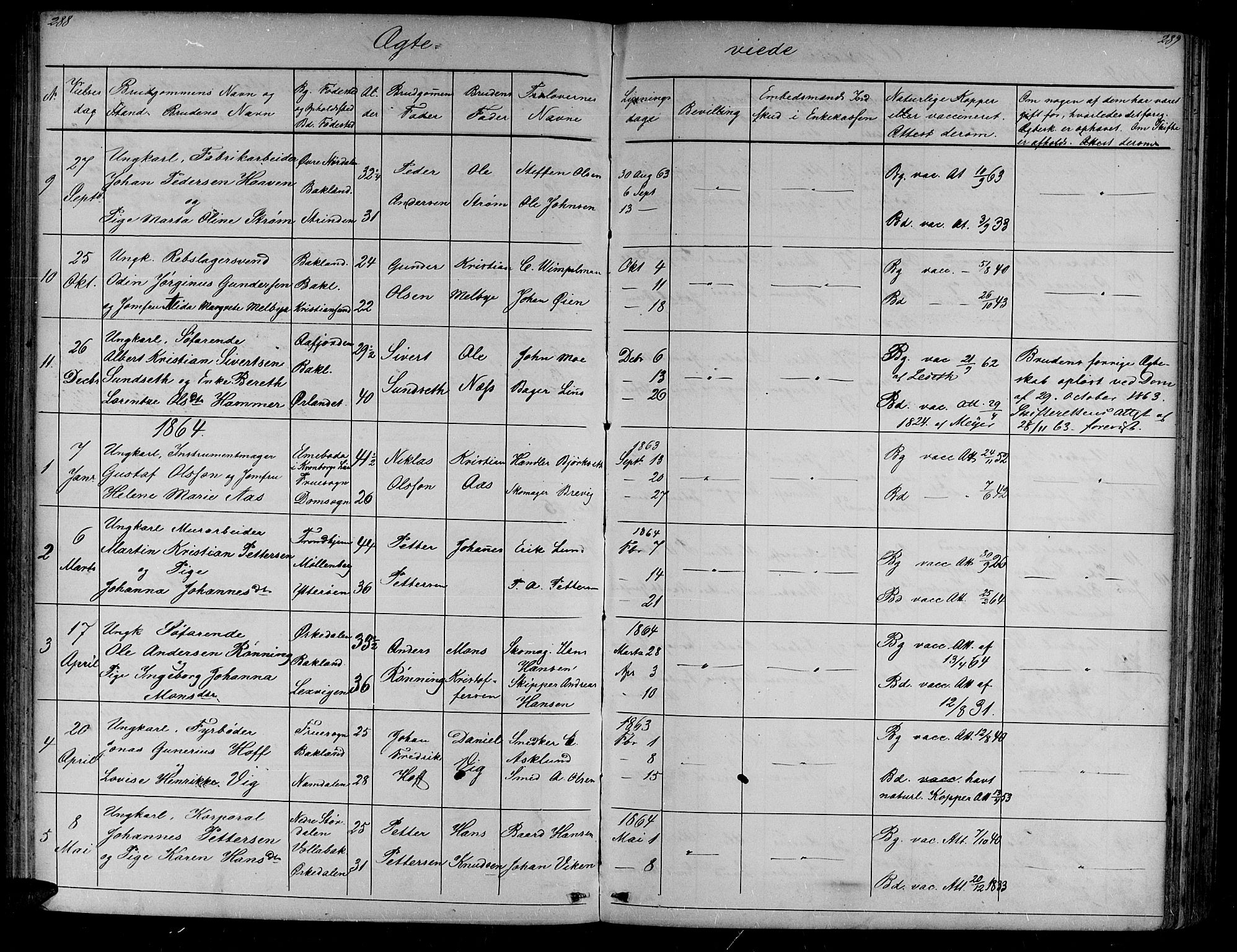 Ministerialprotokoller, klokkerbøker og fødselsregistre - Sør-Trøndelag, AV/SAT-A-1456/604/L0219: Parish register (copy) no. 604C02, 1851-1869, p. 288-289