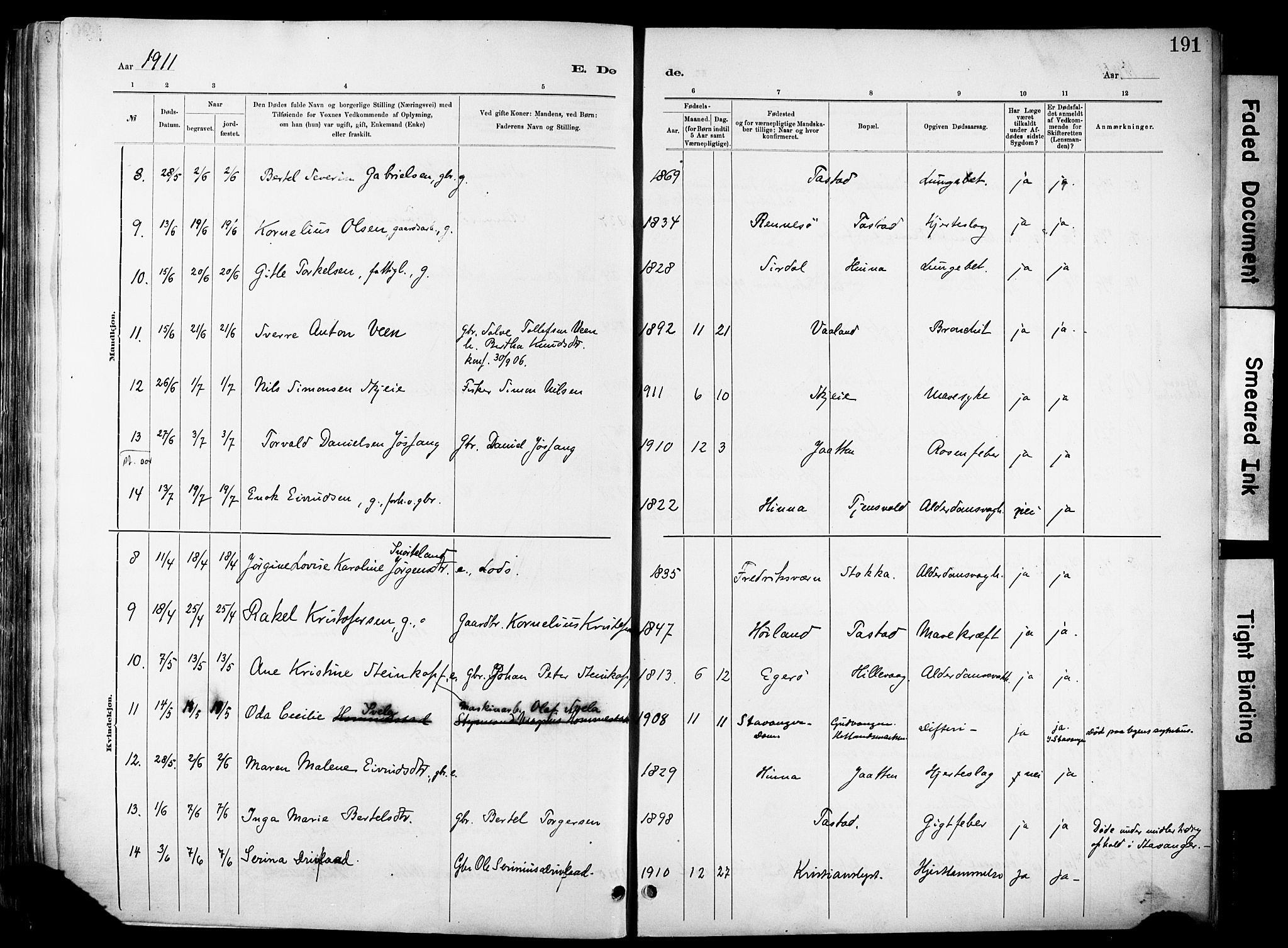 Hetland sokneprestkontor, SAST/A-101826/30/30BA/L0012: Parish register (official) no. A 12, 1882-1912, p. 191