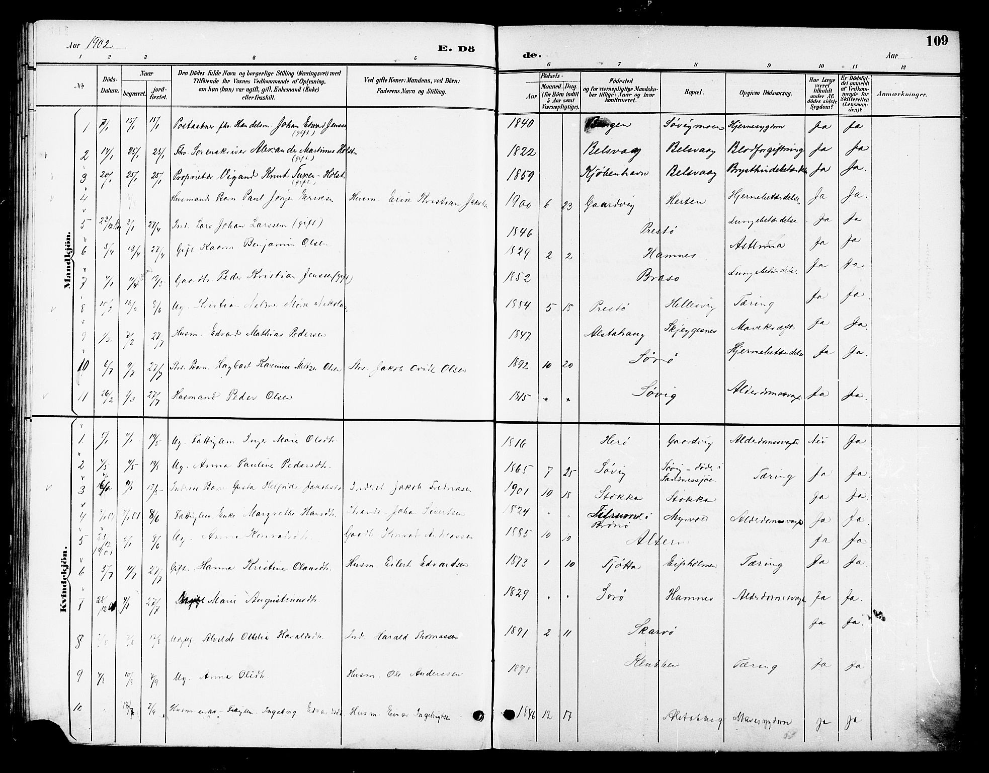 Ministerialprotokoller, klokkerbøker og fødselsregistre - Nordland, SAT/A-1459/830/L0463: Parish register (copy) no. 830C05, 1895-1906, p. 109