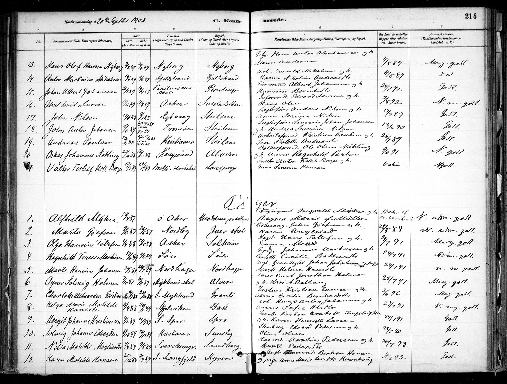 Nesodden prestekontor Kirkebøker, SAO/A-10013/F/Fa/L0009: Parish register (official) no. I 9, 1880-1915, p. 214
