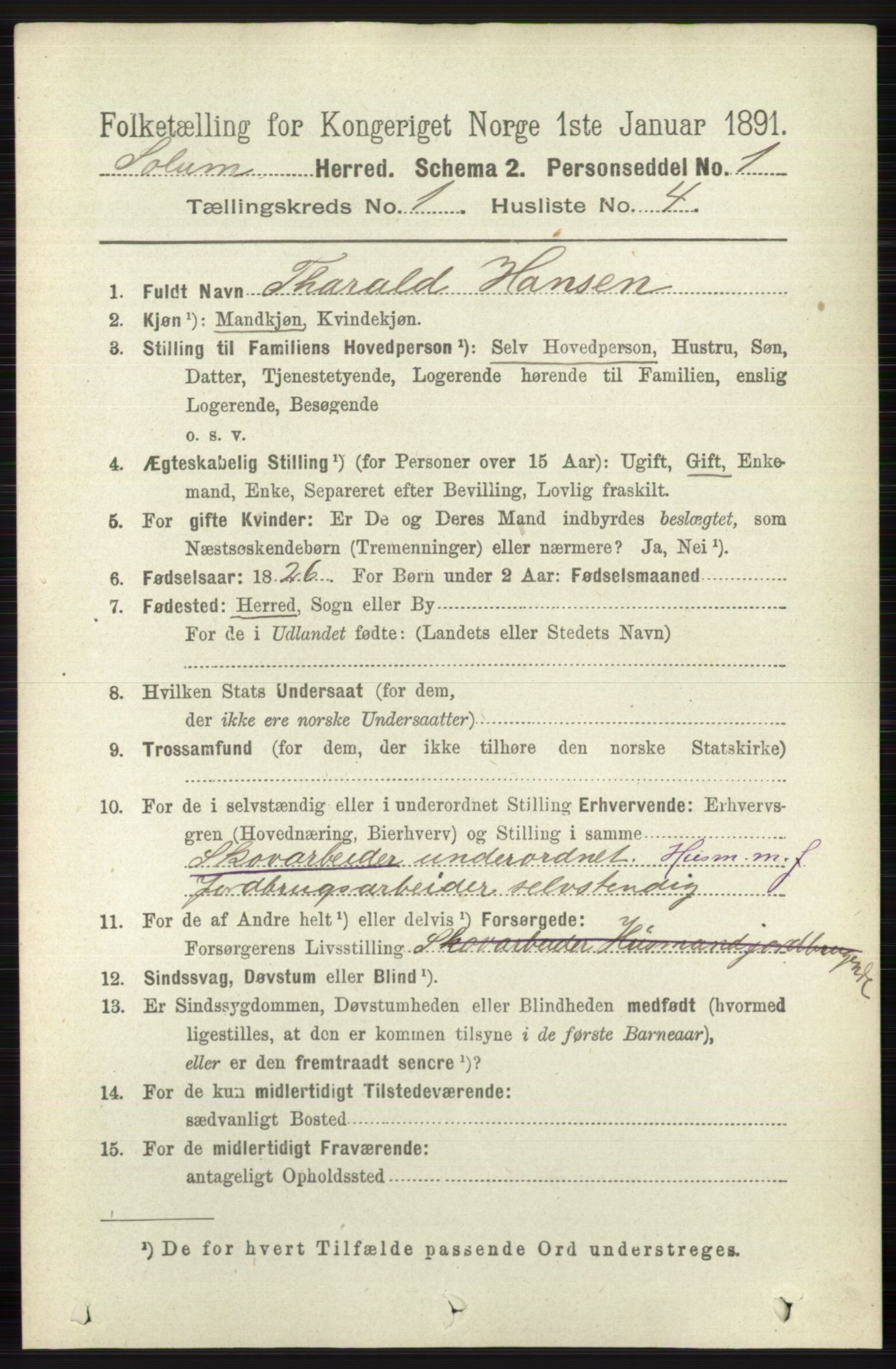 RA, 1891 census for 0818 Solum, 1891, p. 65