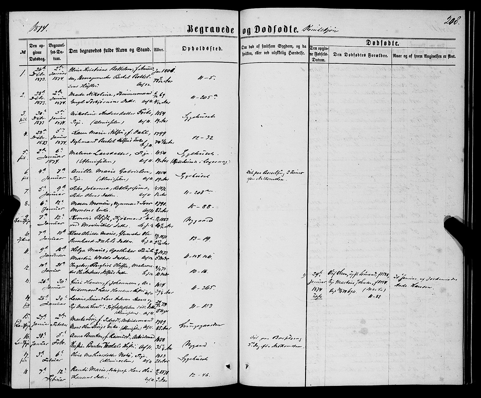 Domkirken sokneprestembete, SAB/A-74801/H/Haa/L0042: Parish register (official) no. E 3, 1863-1876, p. 208