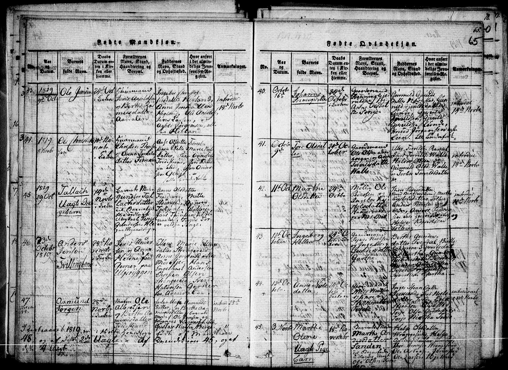 Holt sokneprestkontor, SAK/1111-0021/F/Fa/L0005: Parish register (official) no. A 5, 1813-1821, p. 65