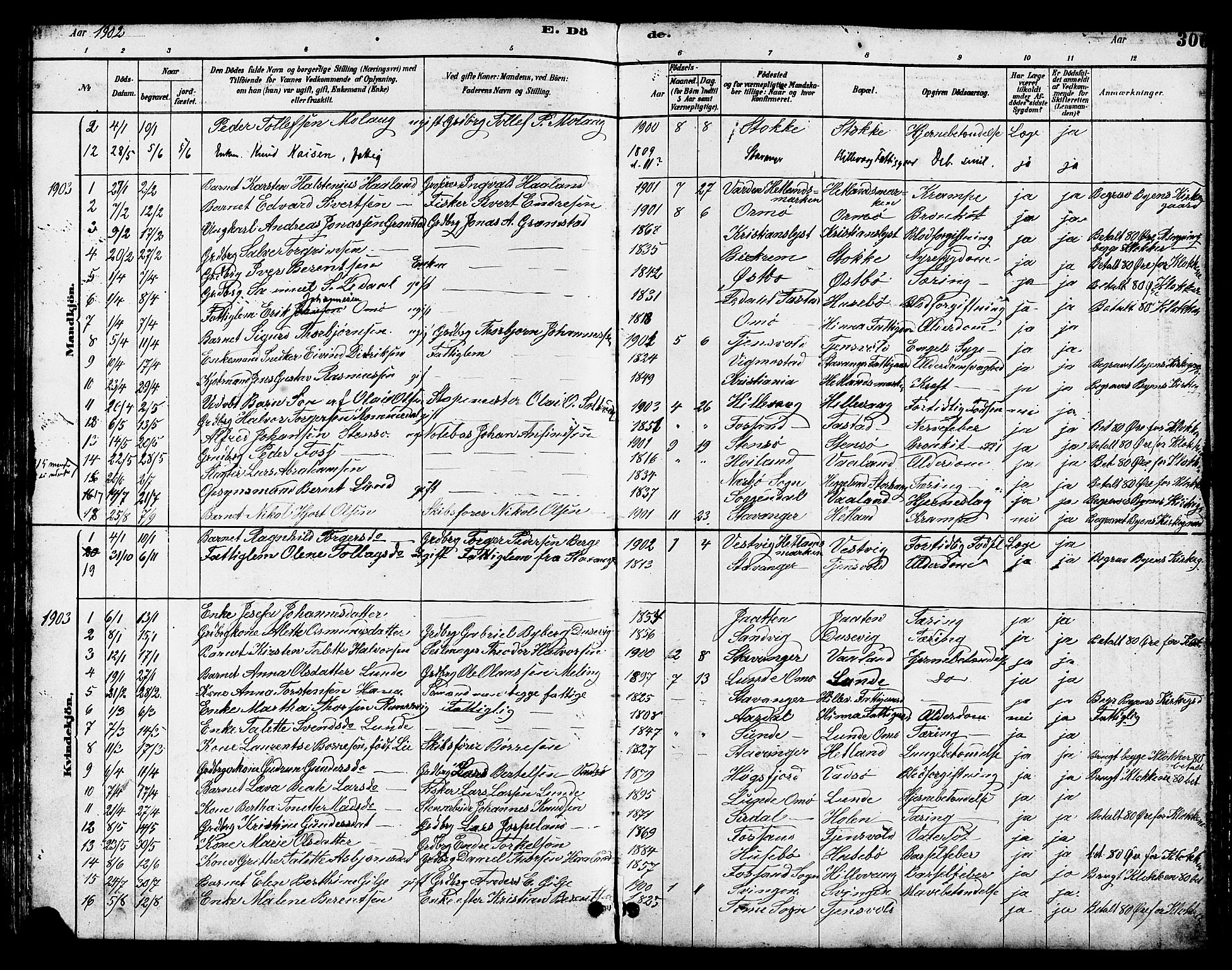 Hetland sokneprestkontor, SAST/A-101826/30/30BB/L0005: Parish register (copy) no. B 5, 1878-1910, p. 300