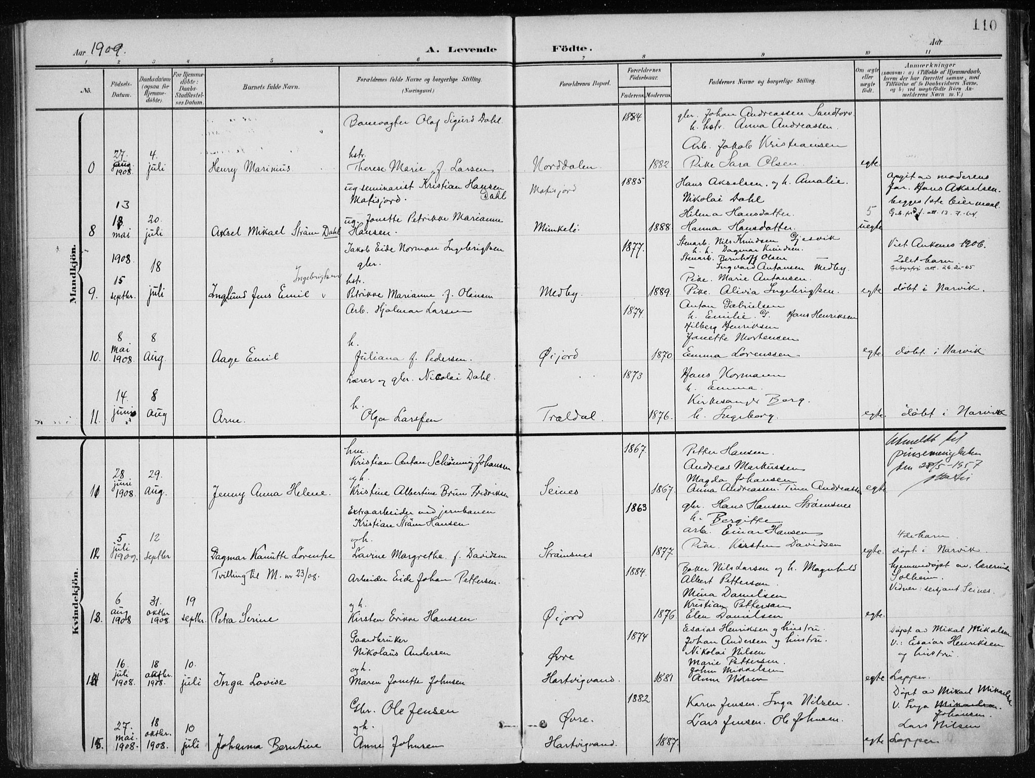 Ministerialprotokoller, klokkerbøker og fødselsregistre - Nordland, AV/SAT-A-1459/866/L0941: Parish register (official) no. 866A04, 1901-1917, p. 110