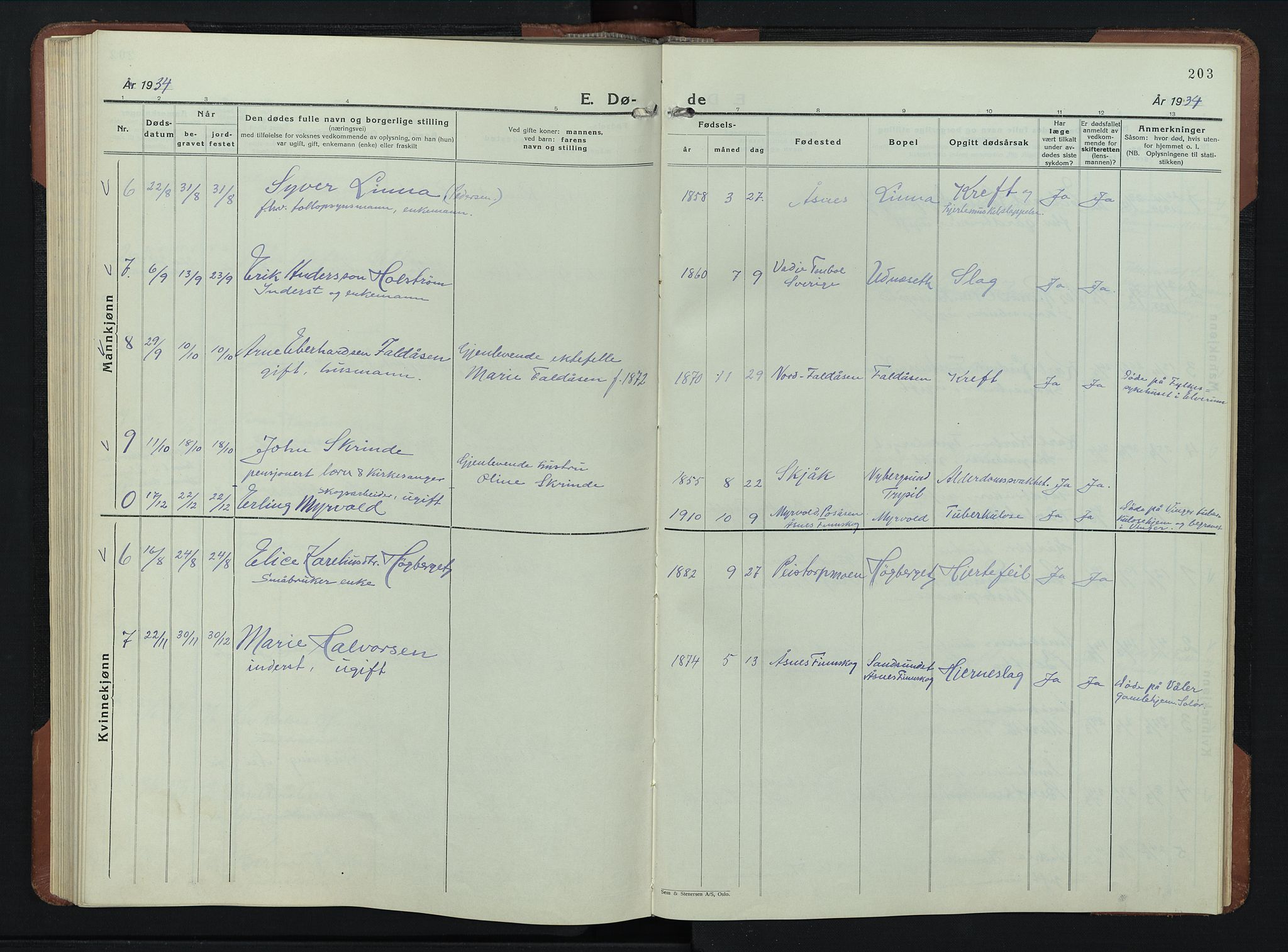 Åsnes prestekontor, SAH/PREST-042/H/Ha/Hab/L0009: Parish register (copy) no. 9, 1930-1954, p. 203