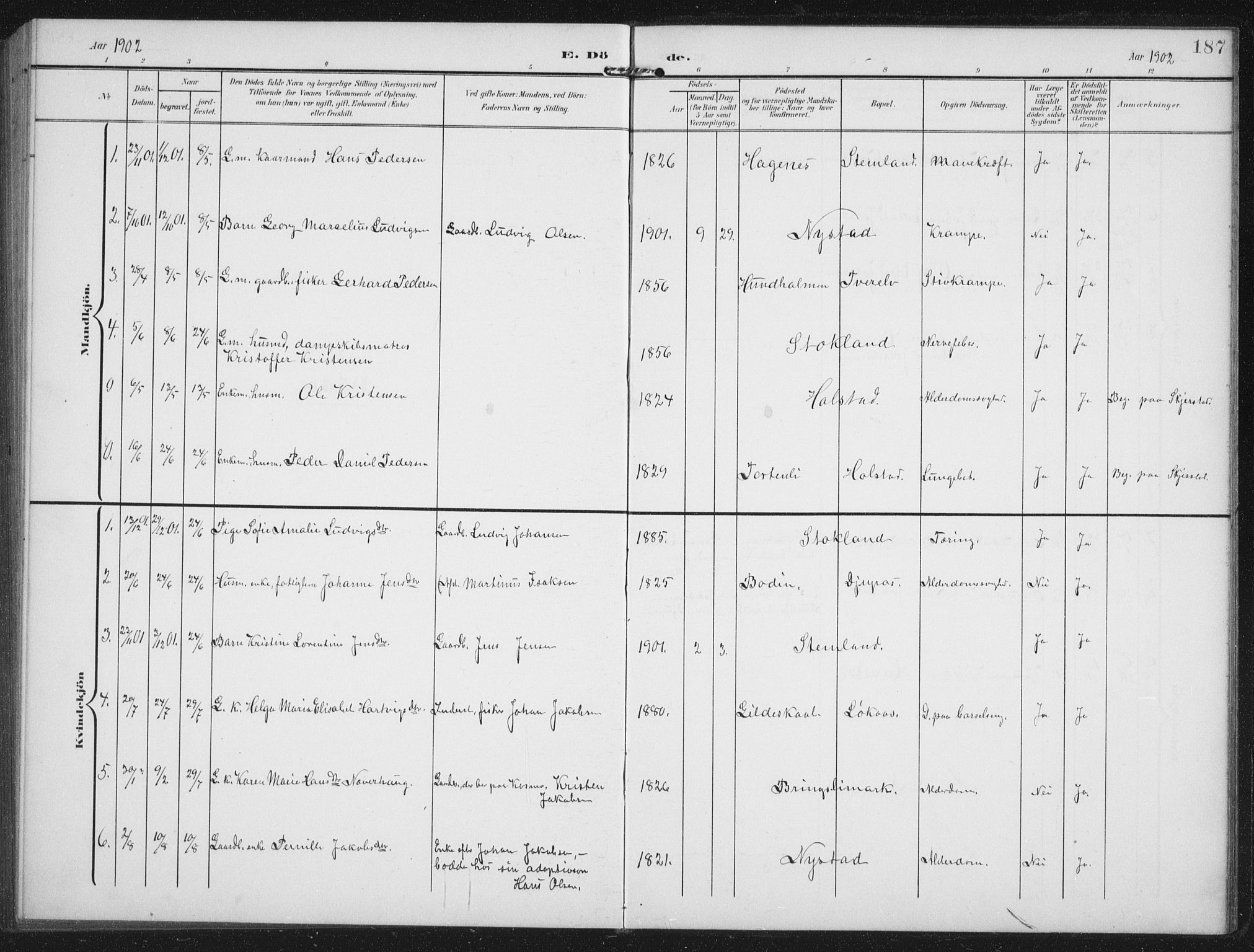 Ministerialprotokoller, klokkerbøker og fødselsregistre - Nordland, AV/SAT-A-1459/851/L0726: Parish register (copy) no. 851C01, 1902-1924, p. 187