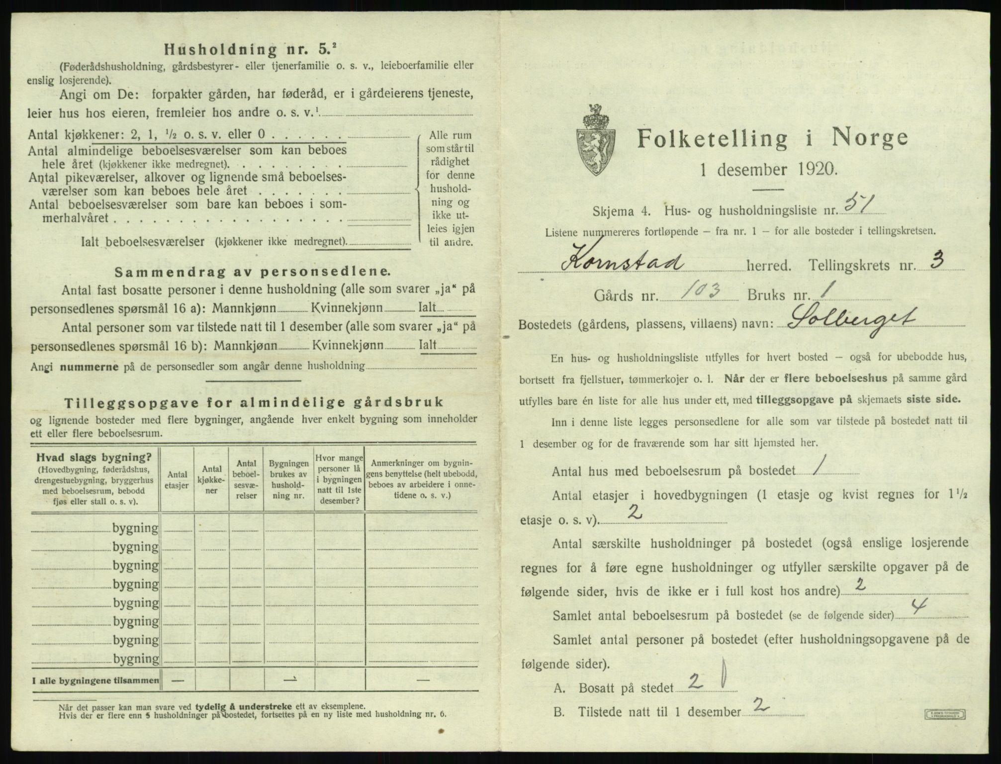 SAT, 1920 census for Kornstad, 1920, p. 313