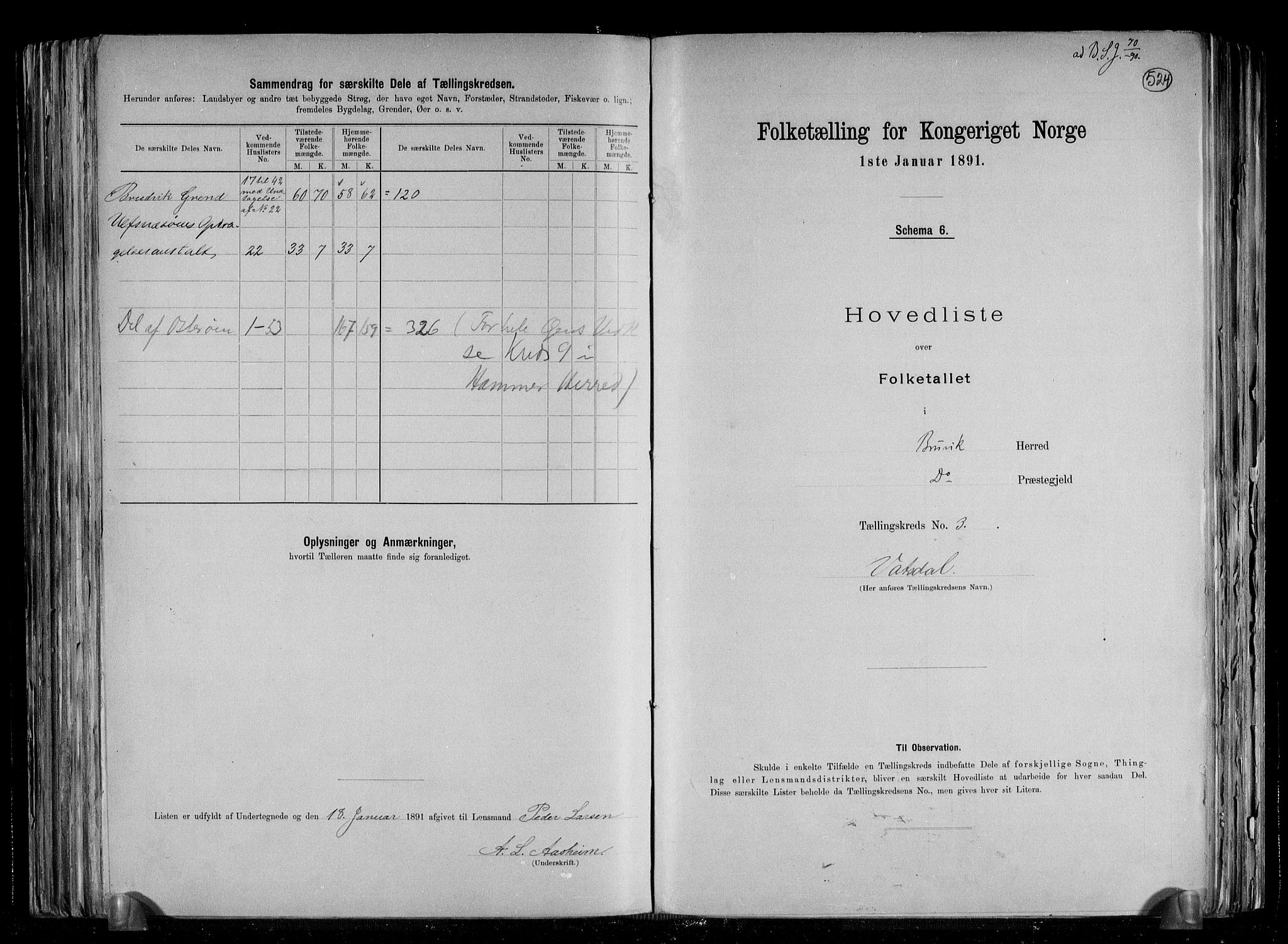 RA, 1891 census for 1251 Bruvik, 1891, p. 9