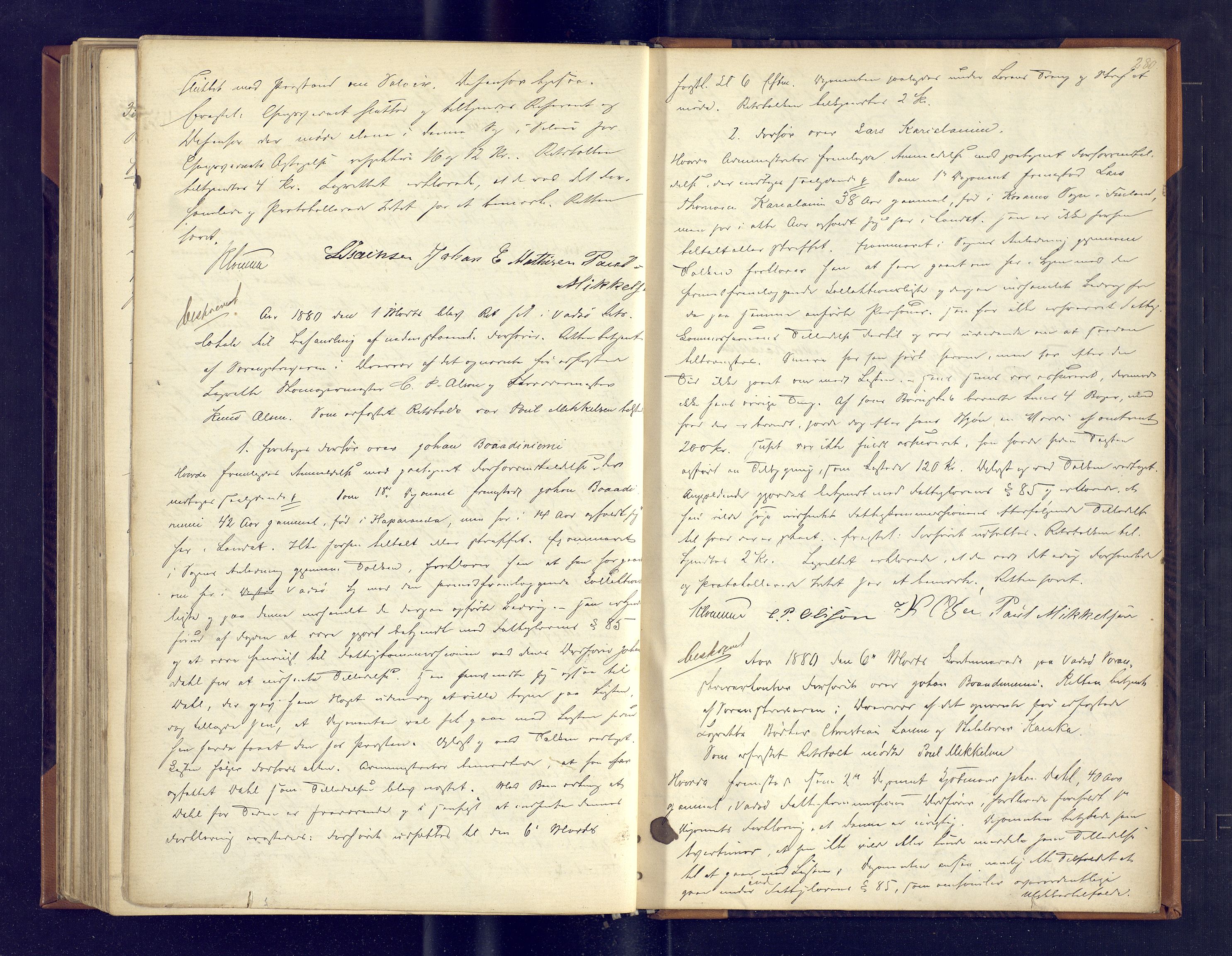 Varanger fogderi-sorenskriveri/Tana og Varanger sorenskriveri, AV/SATØ-S-0059/1/K/Ka/Kac/L0270: Ekstrarettsprotokoller, Vadsø by. 2. serie. (A), 1872-1881, p. 280