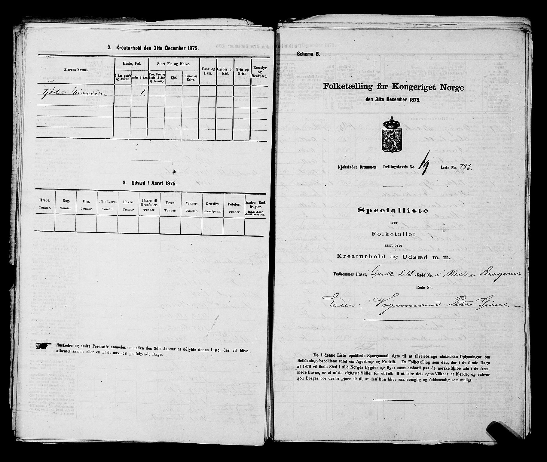 SAKO, 1875 census for 0602 Drammen, 1875, p. 2038