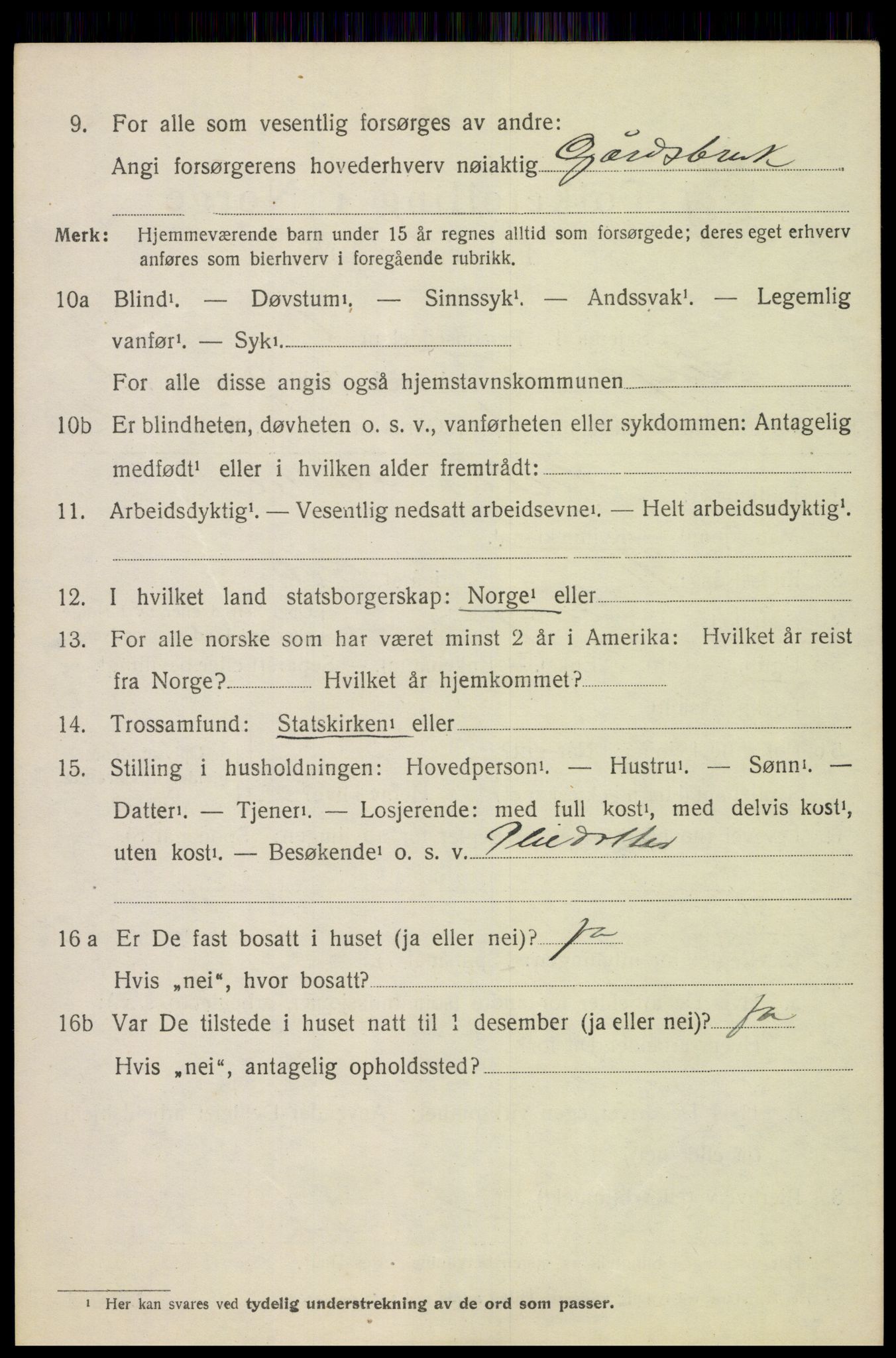 SAH, 1920 census for Lesja, 1920, p. 1057