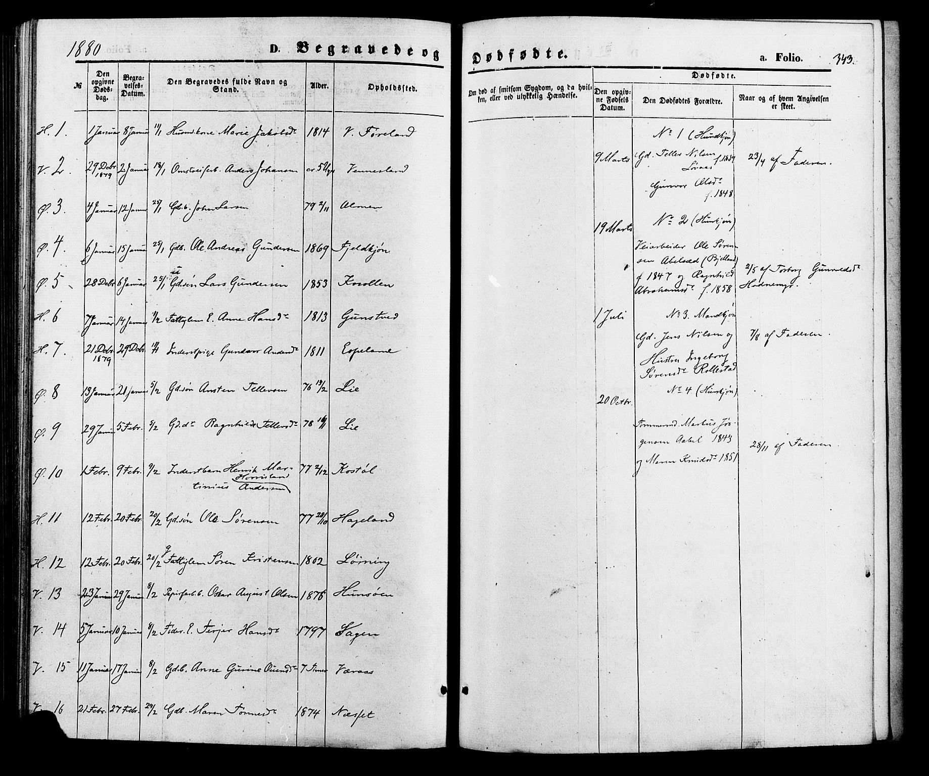 Vennesla sokneprestkontor, AV/SAK-1111-0045/Fa/Fac/L0008: Parish register (official) no. A 8, 1874-1883, p. 343