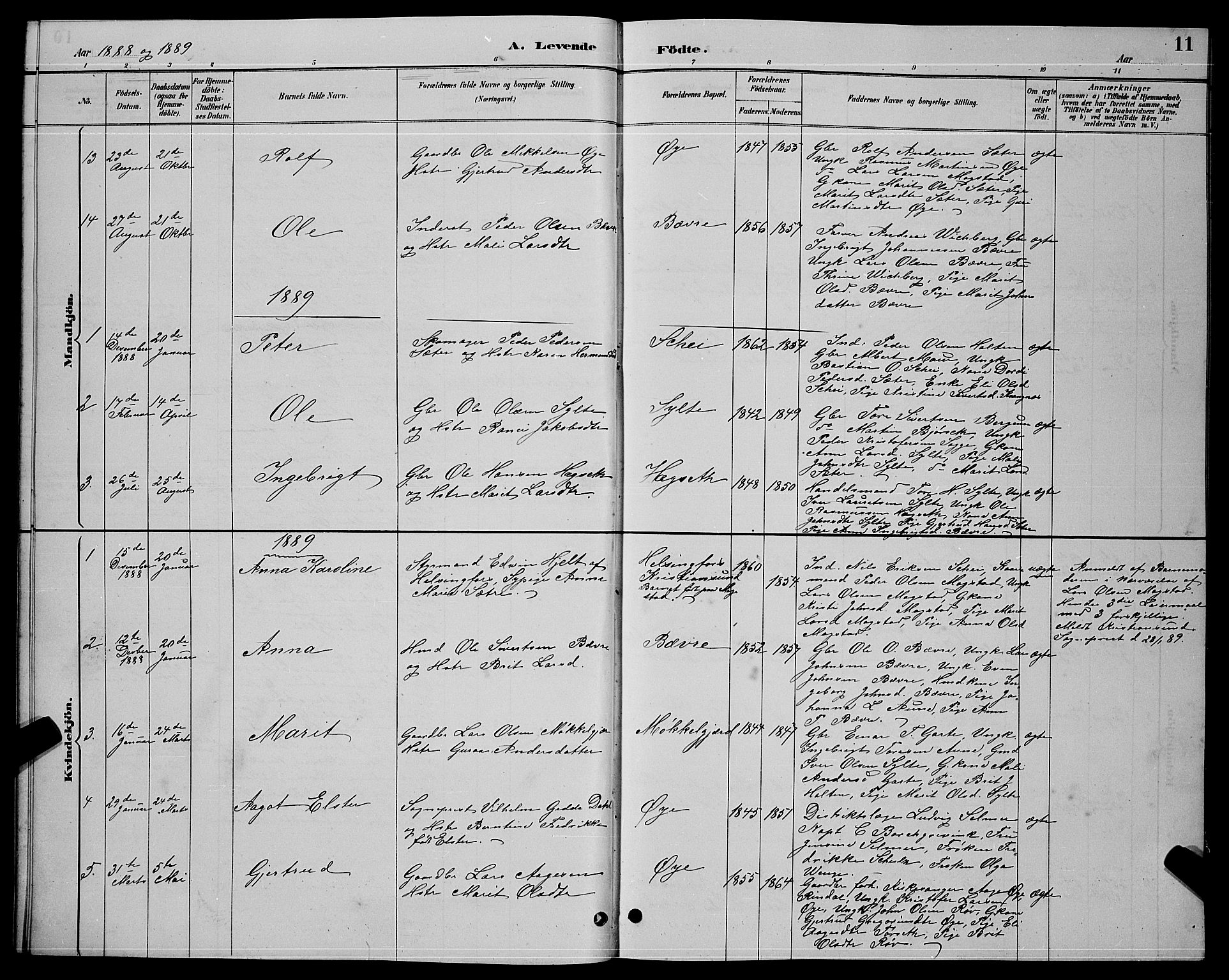 Ministerialprotokoller, klokkerbøker og fødselsregistre - Møre og Romsdal, AV/SAT-A-1454/595/L1052: Parish register (copy) no. 595C04, 1885-1900, p. 11